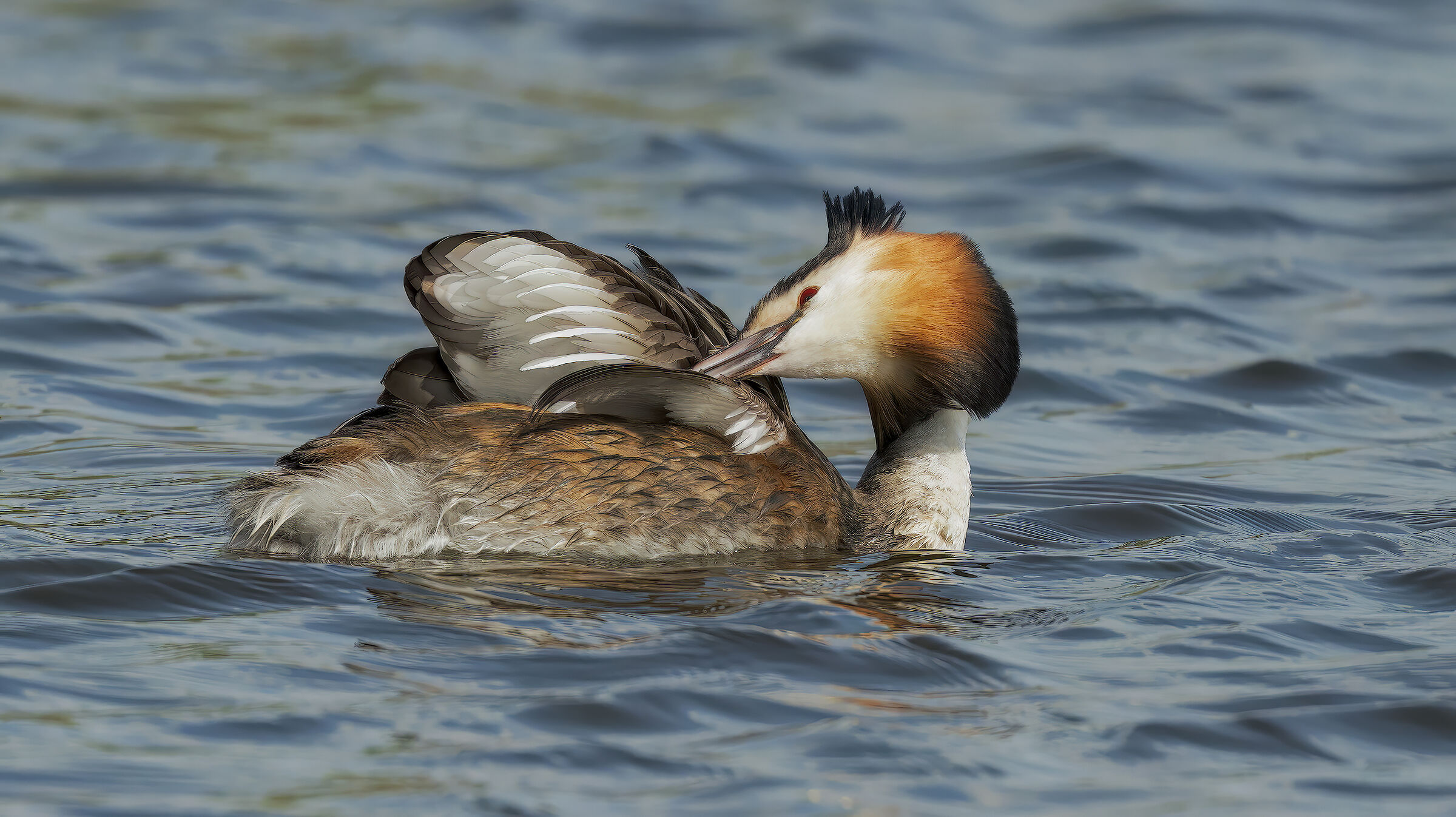 prova Sony Svasso maggiore6