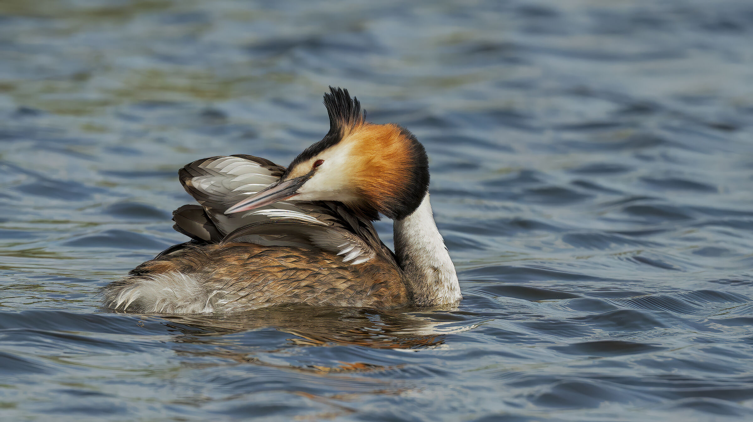 prova Sony Svasso maggiore7