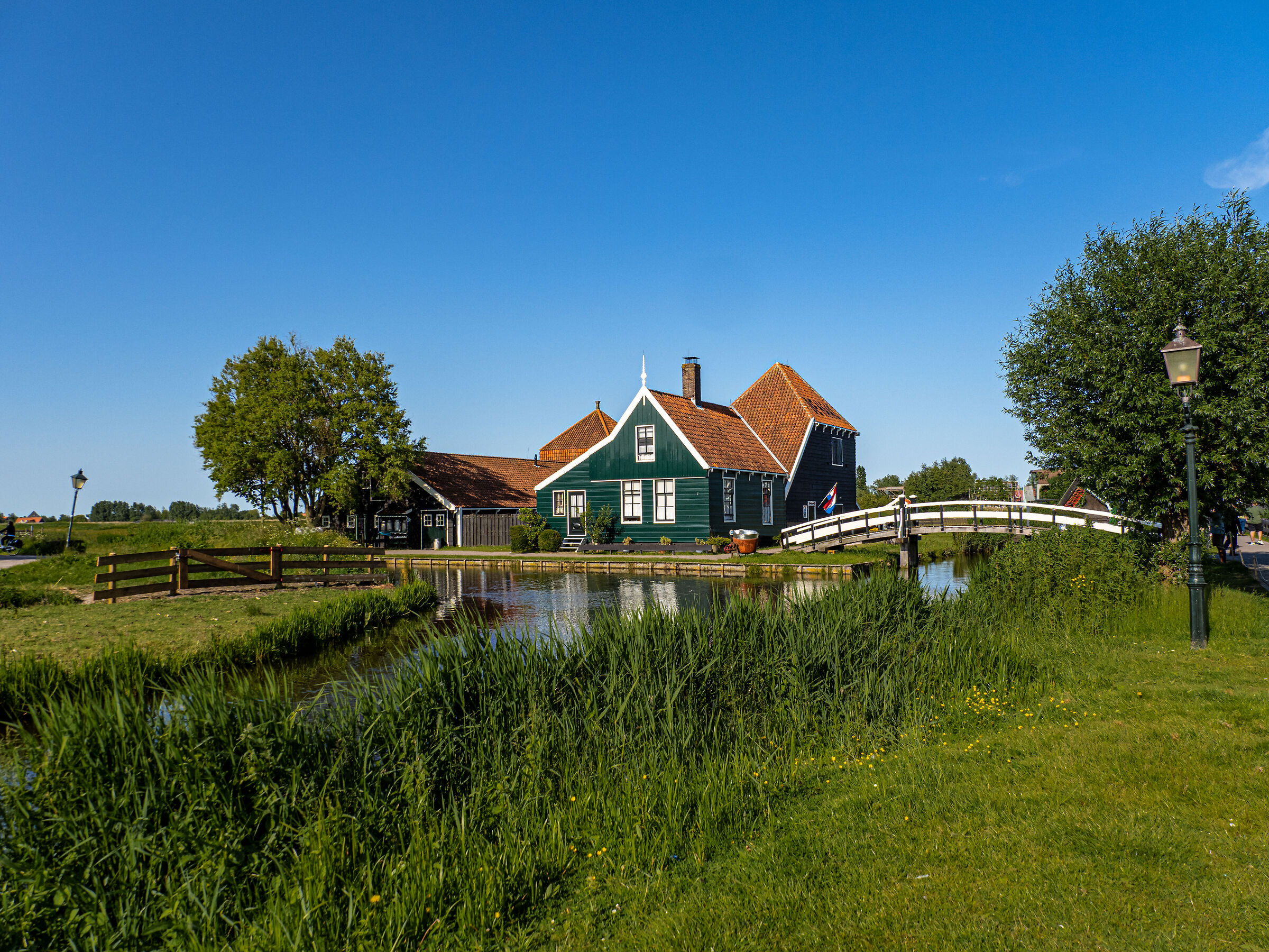 Zaanse