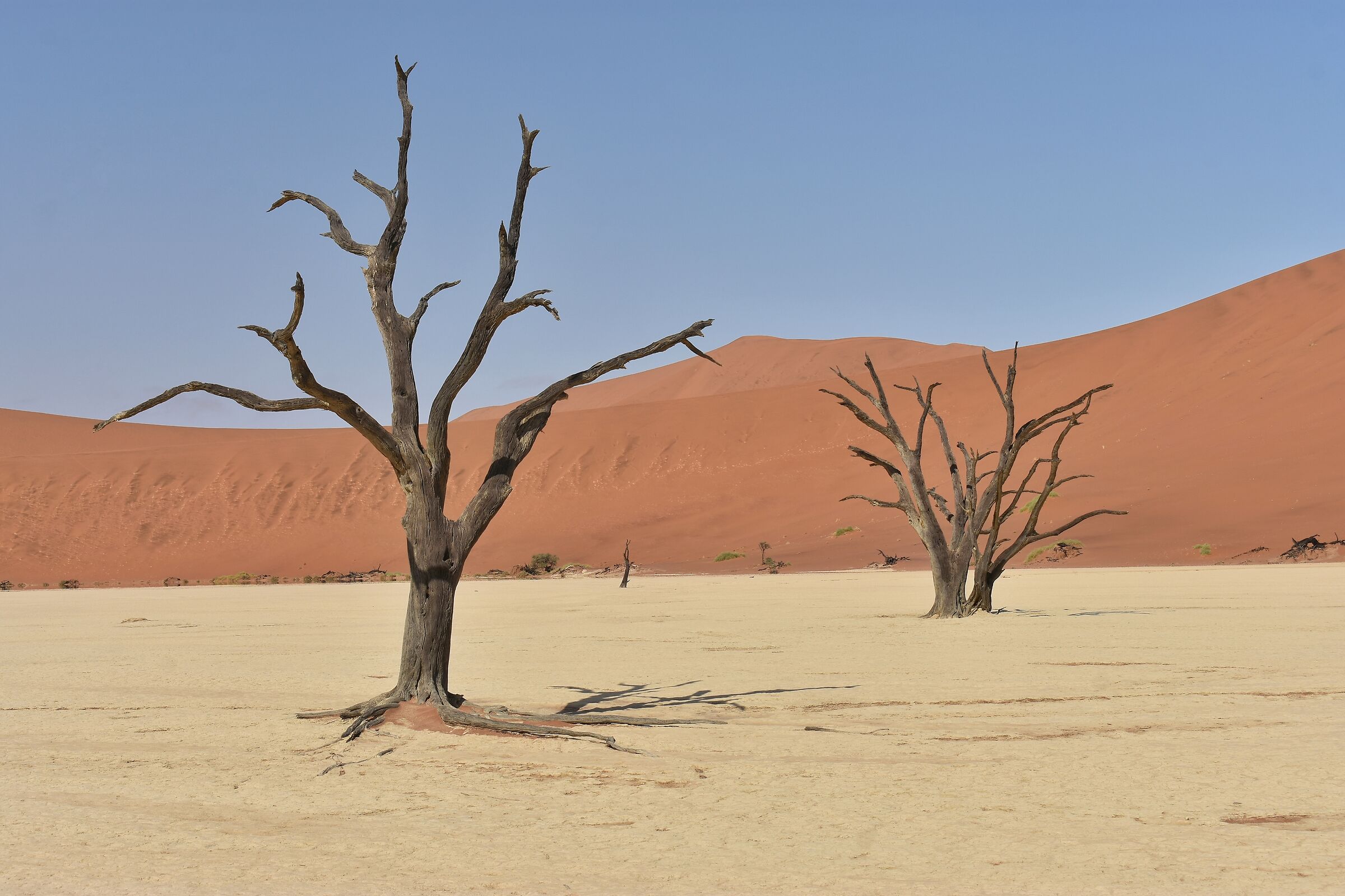 Sossuslvei - Namibia