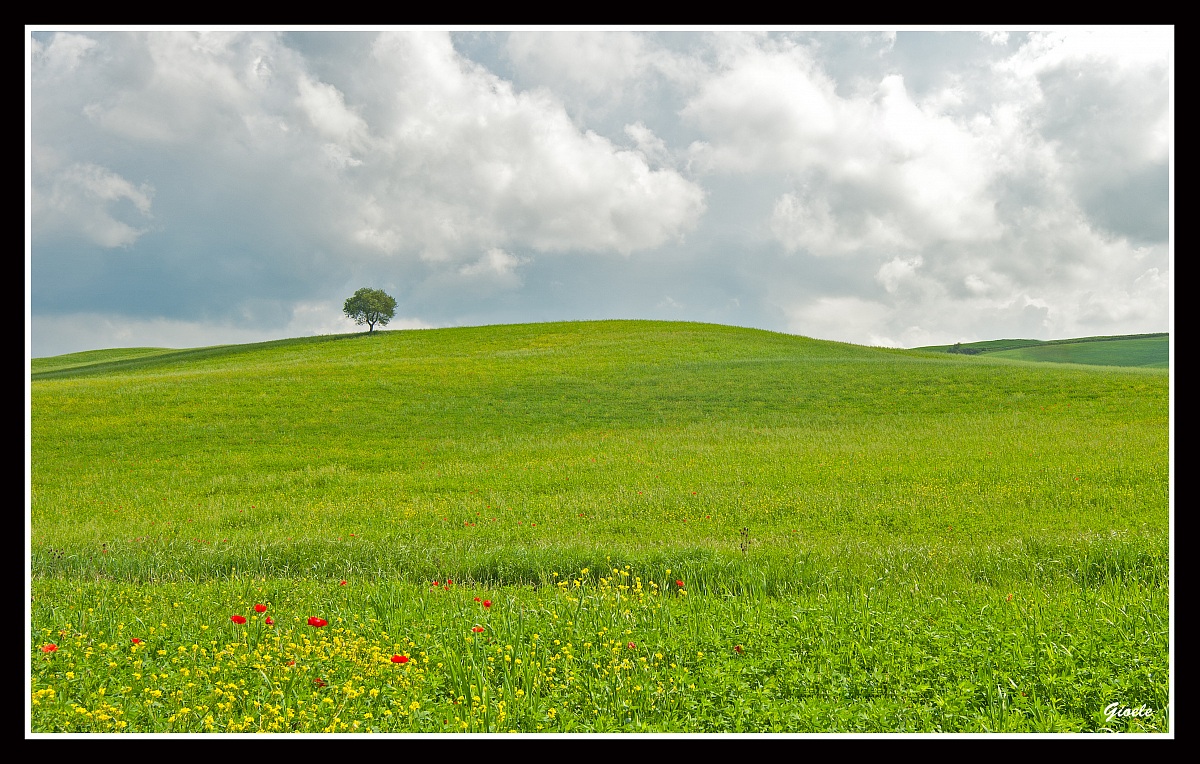 Serentrippity 2 reloaded