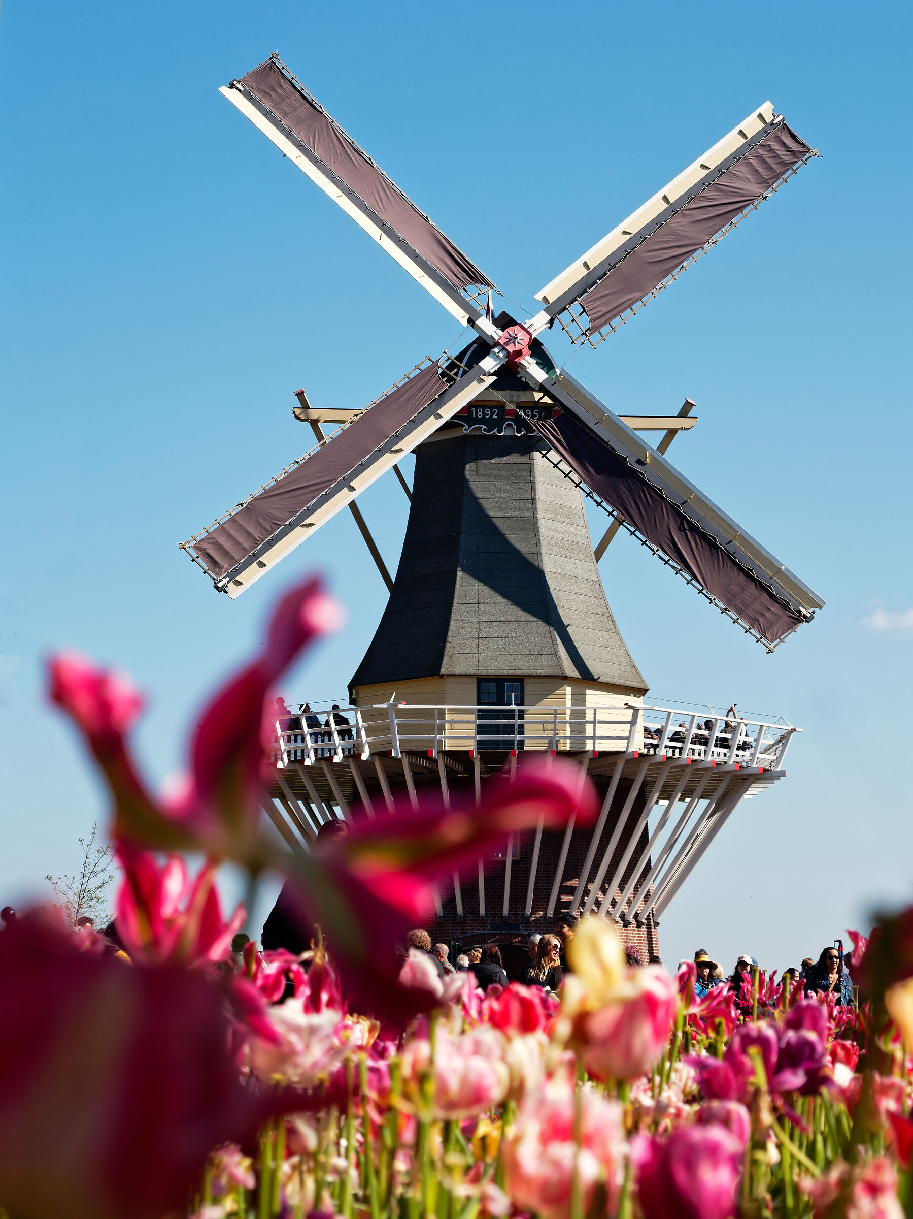 Wind Mill