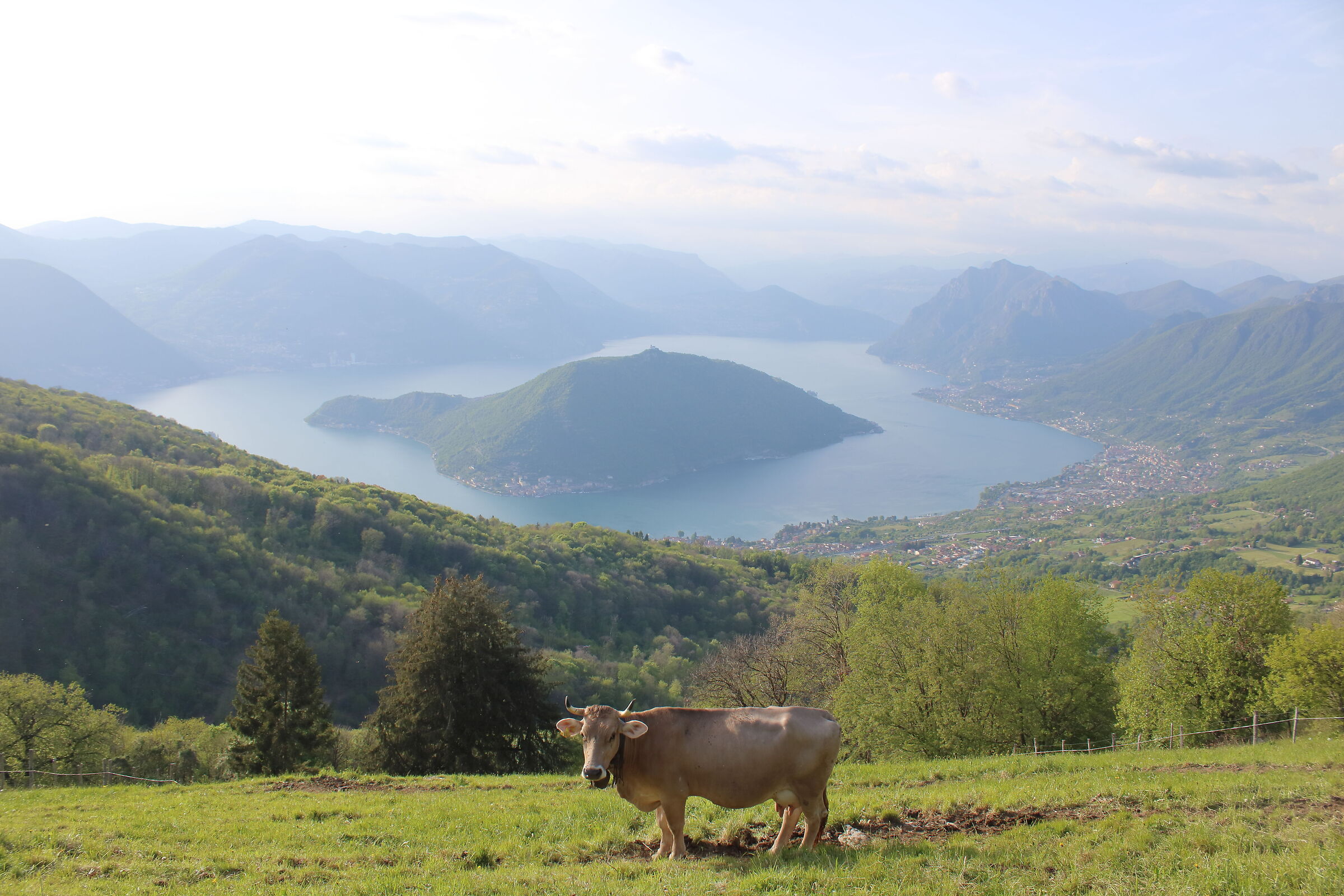 Punta dell'Orto - Iseo