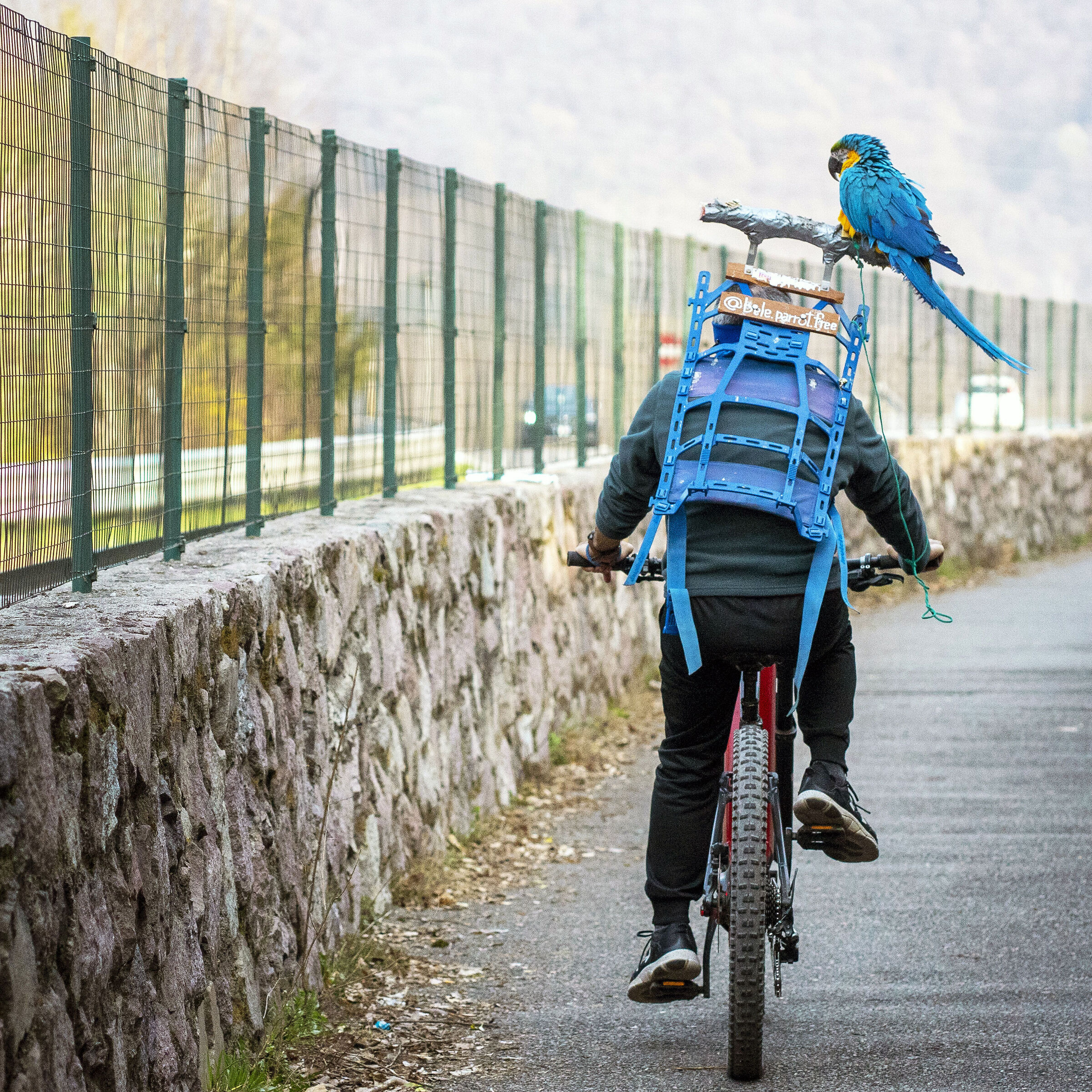 ...di tutti i colori