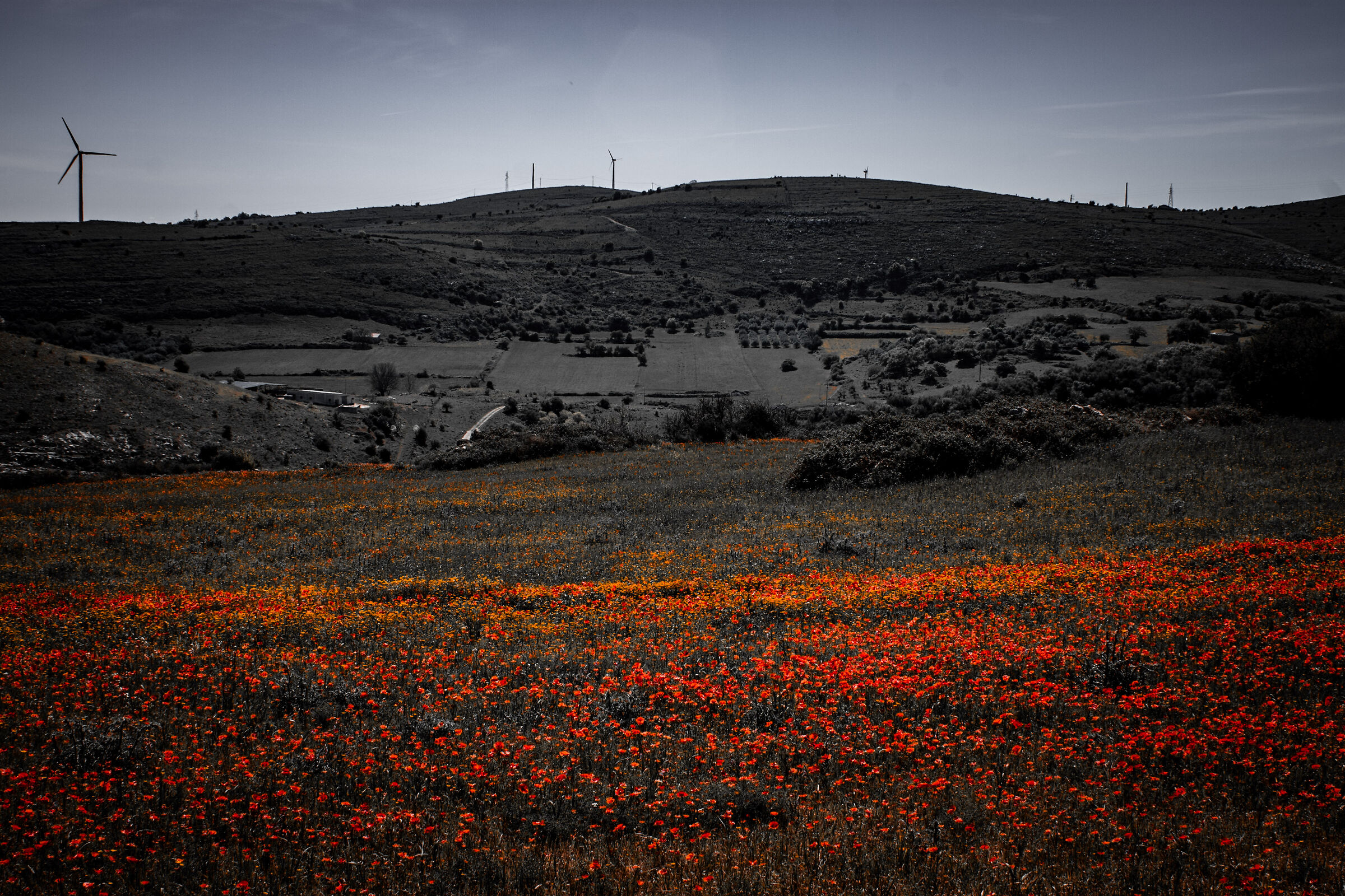 Parco Eolico Carlentini