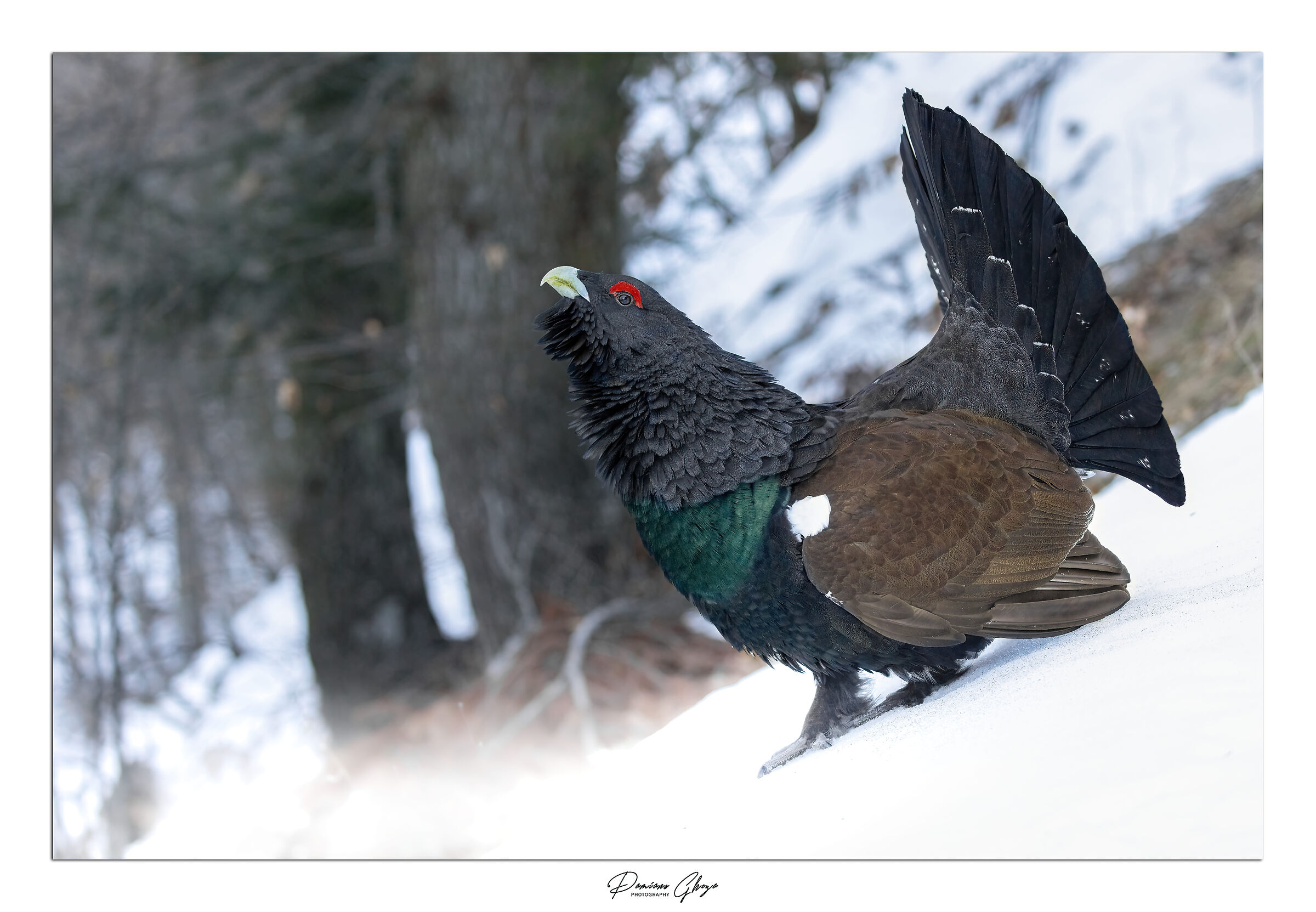 Infinita maestosità