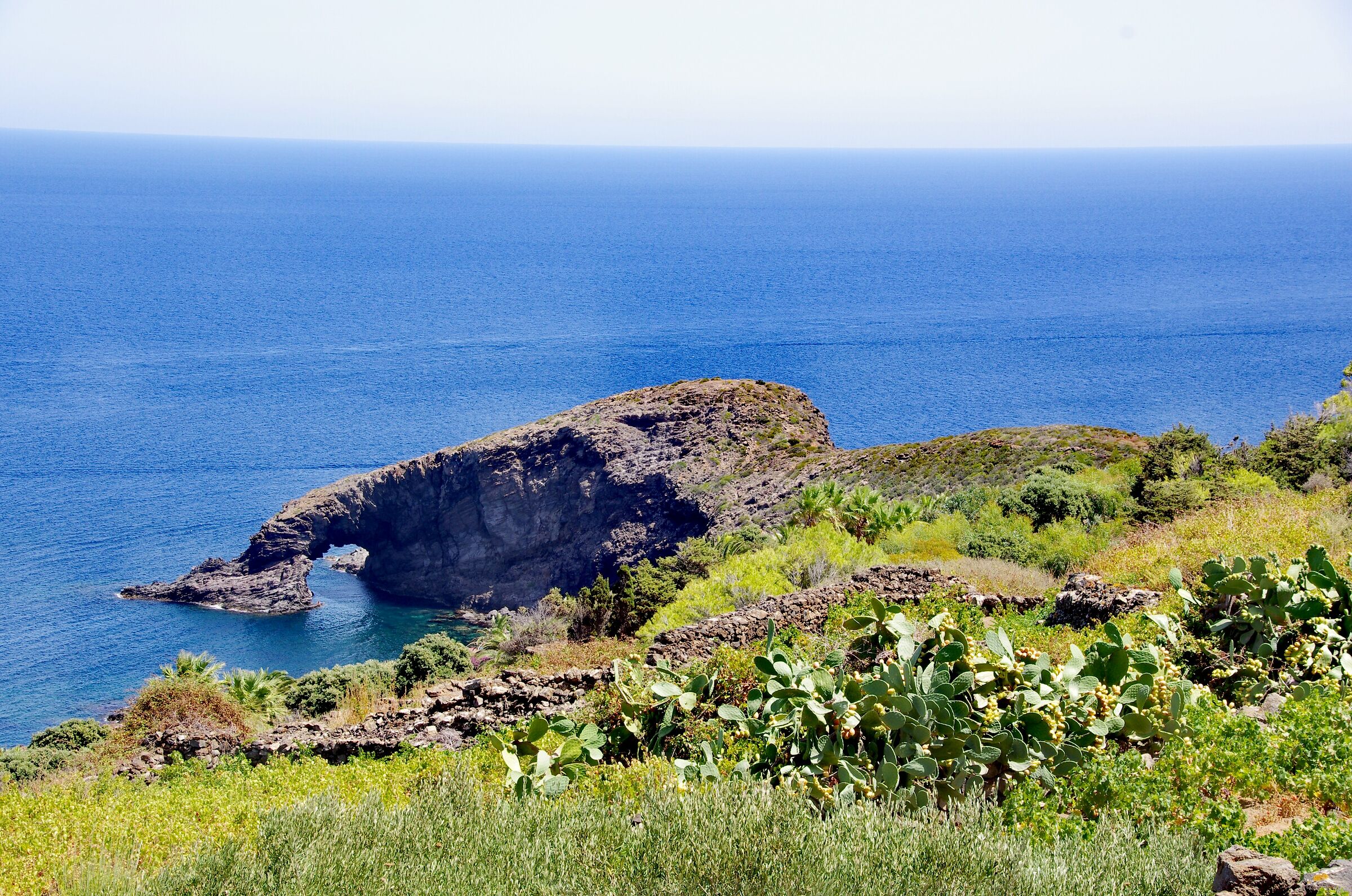 Arco dell'elefante