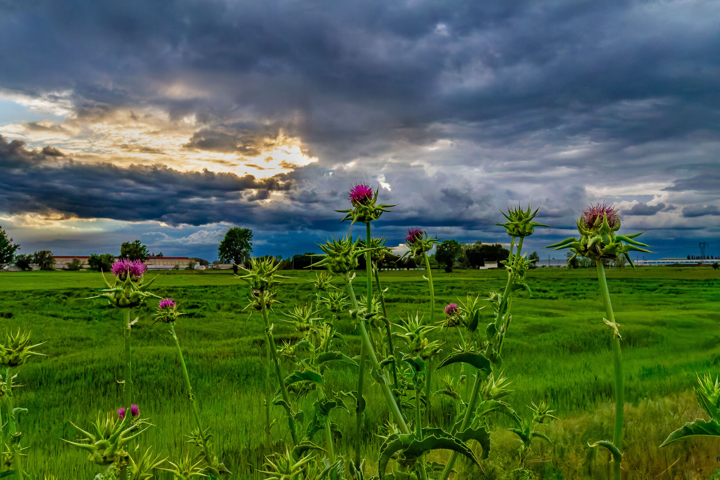 Il temporale è in arrivo