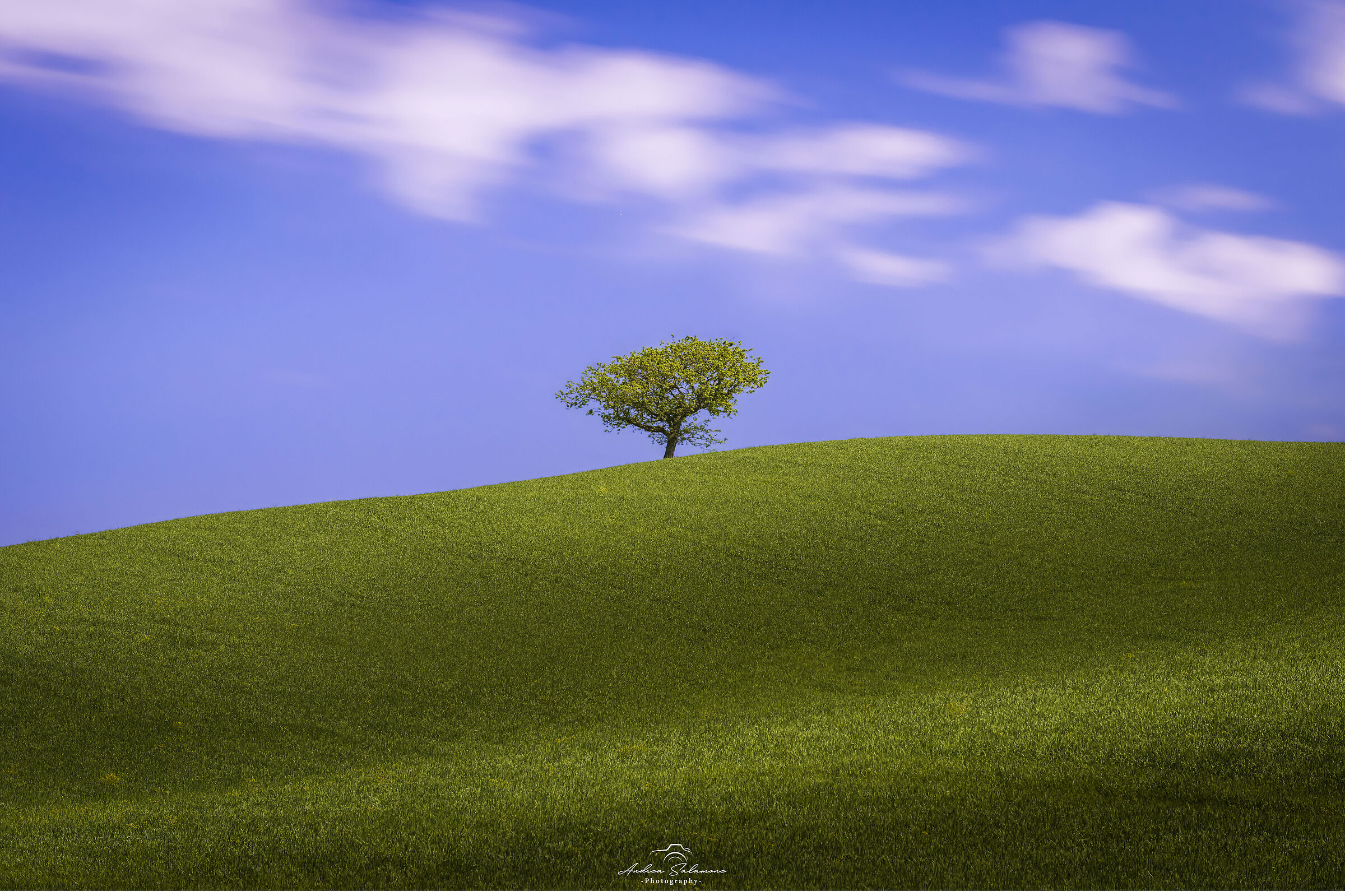 Minimal tree