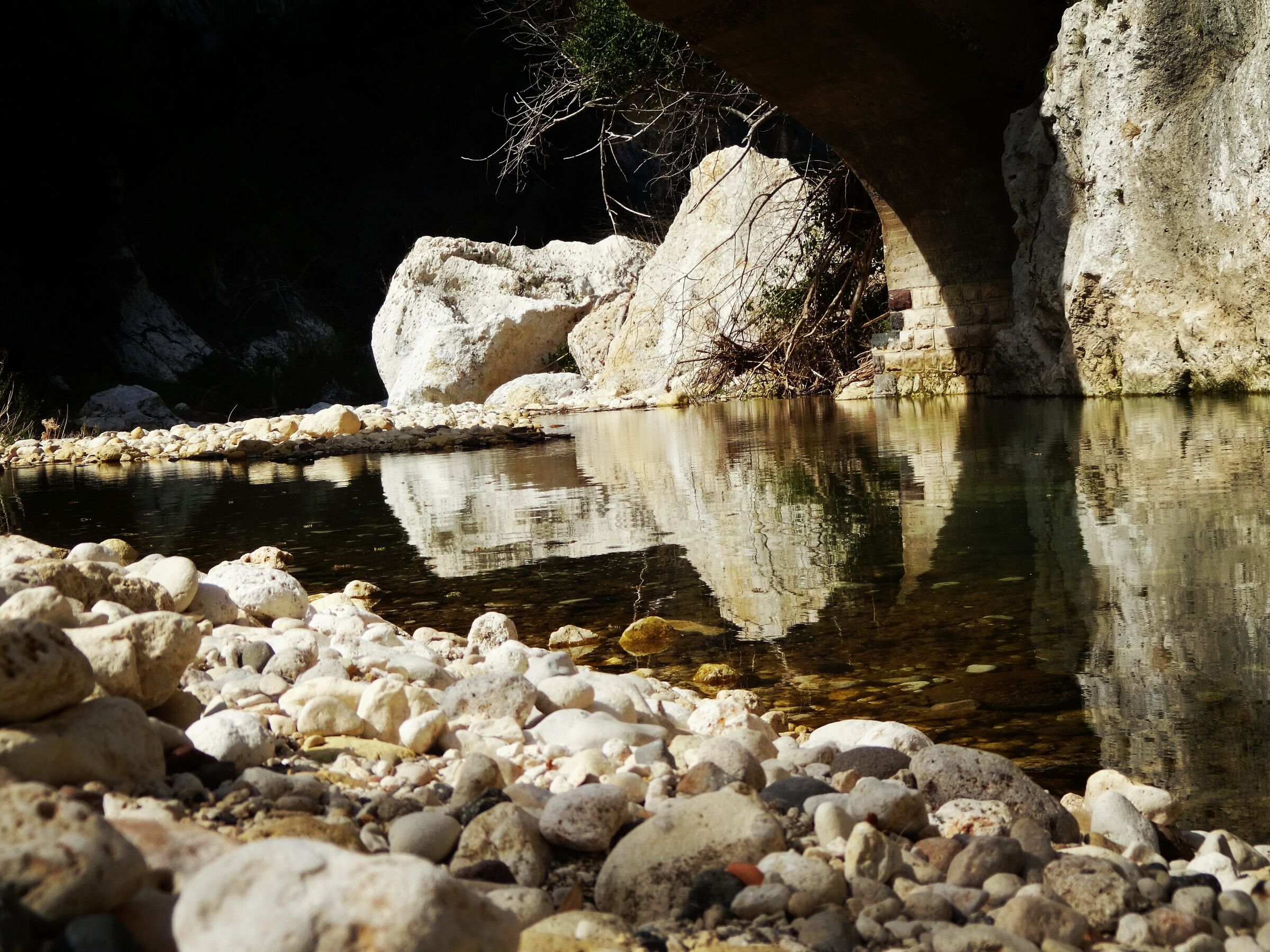 Riflessi
