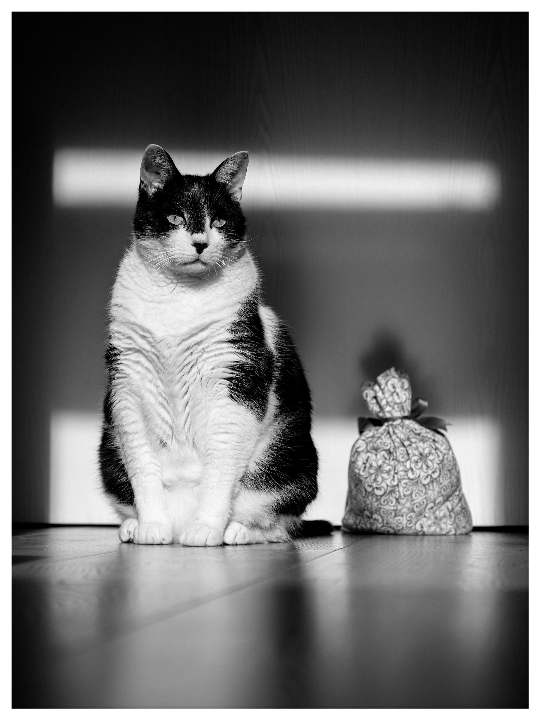 Double Door Stoppers