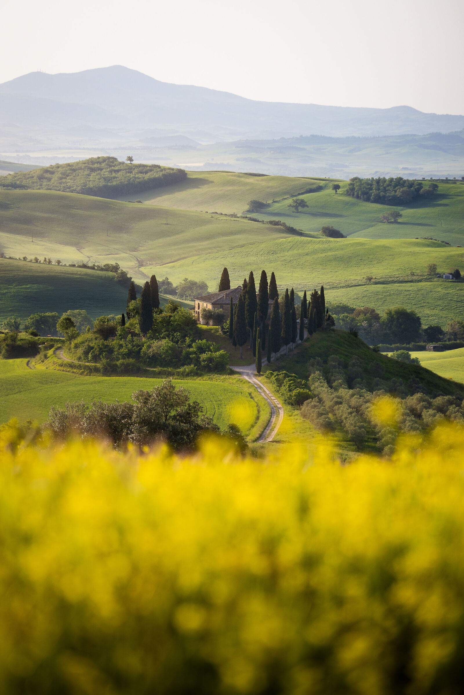 Il classico dei classici