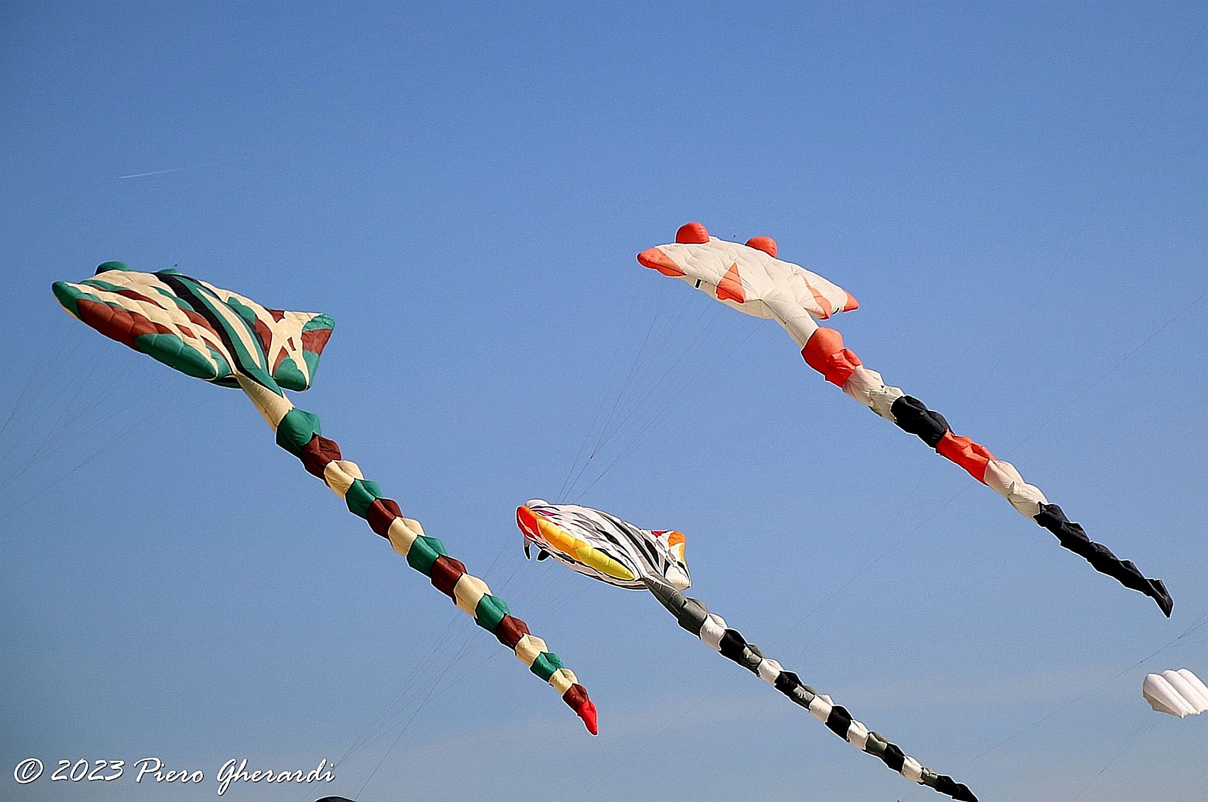 44° Festival Internazionale Aquilone 30/04/24 Cervia