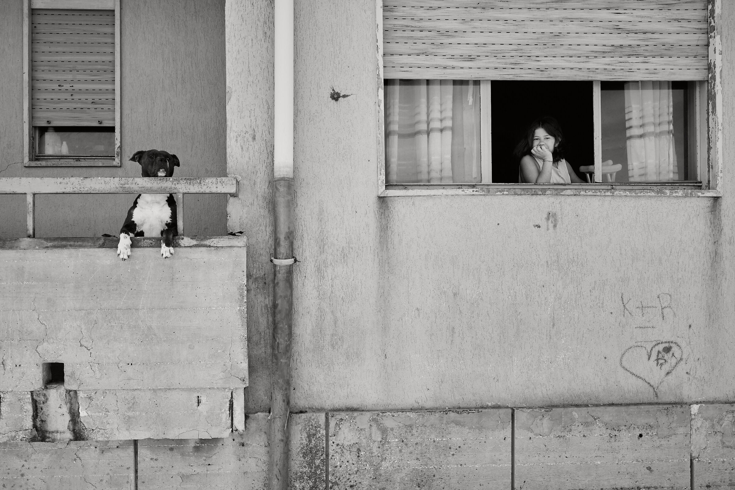 A little girl and her dog at public housing
