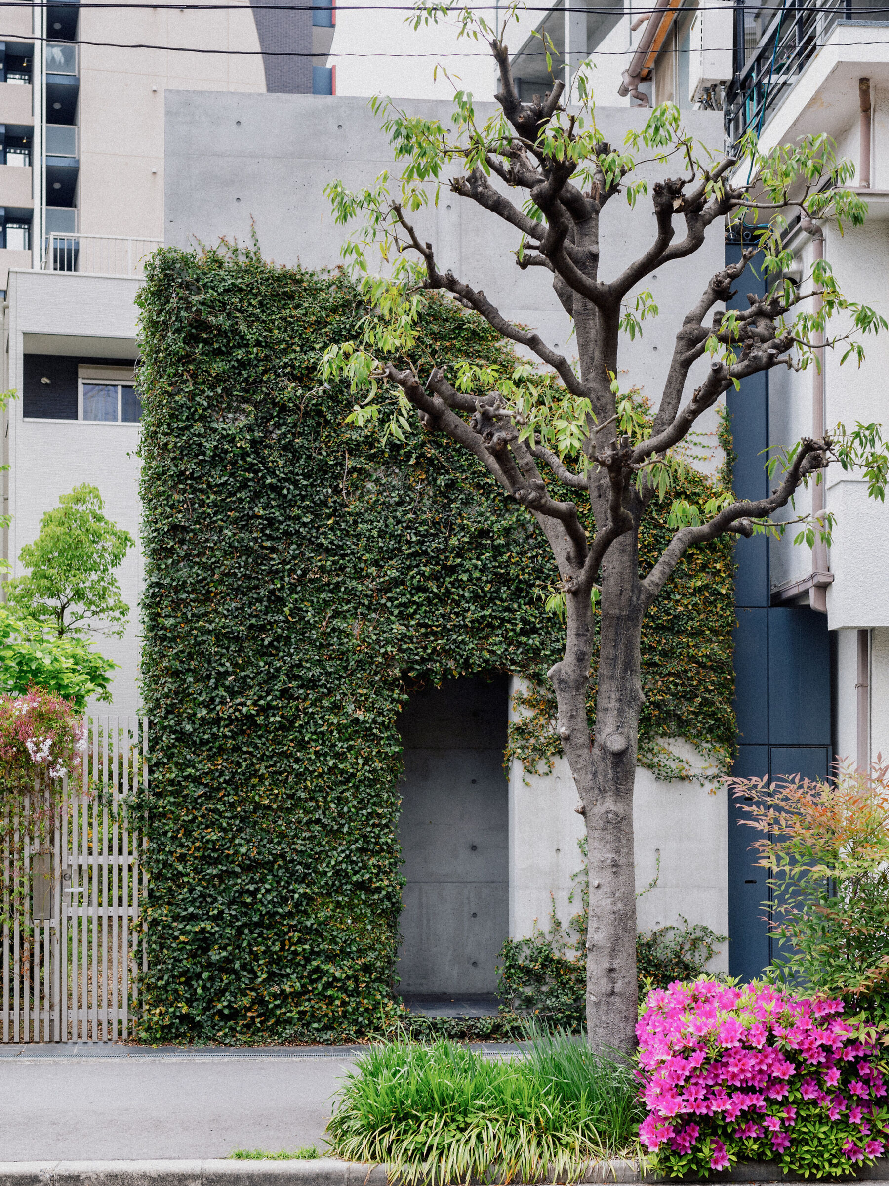 Osaka: casa progettata da Tadao Ando