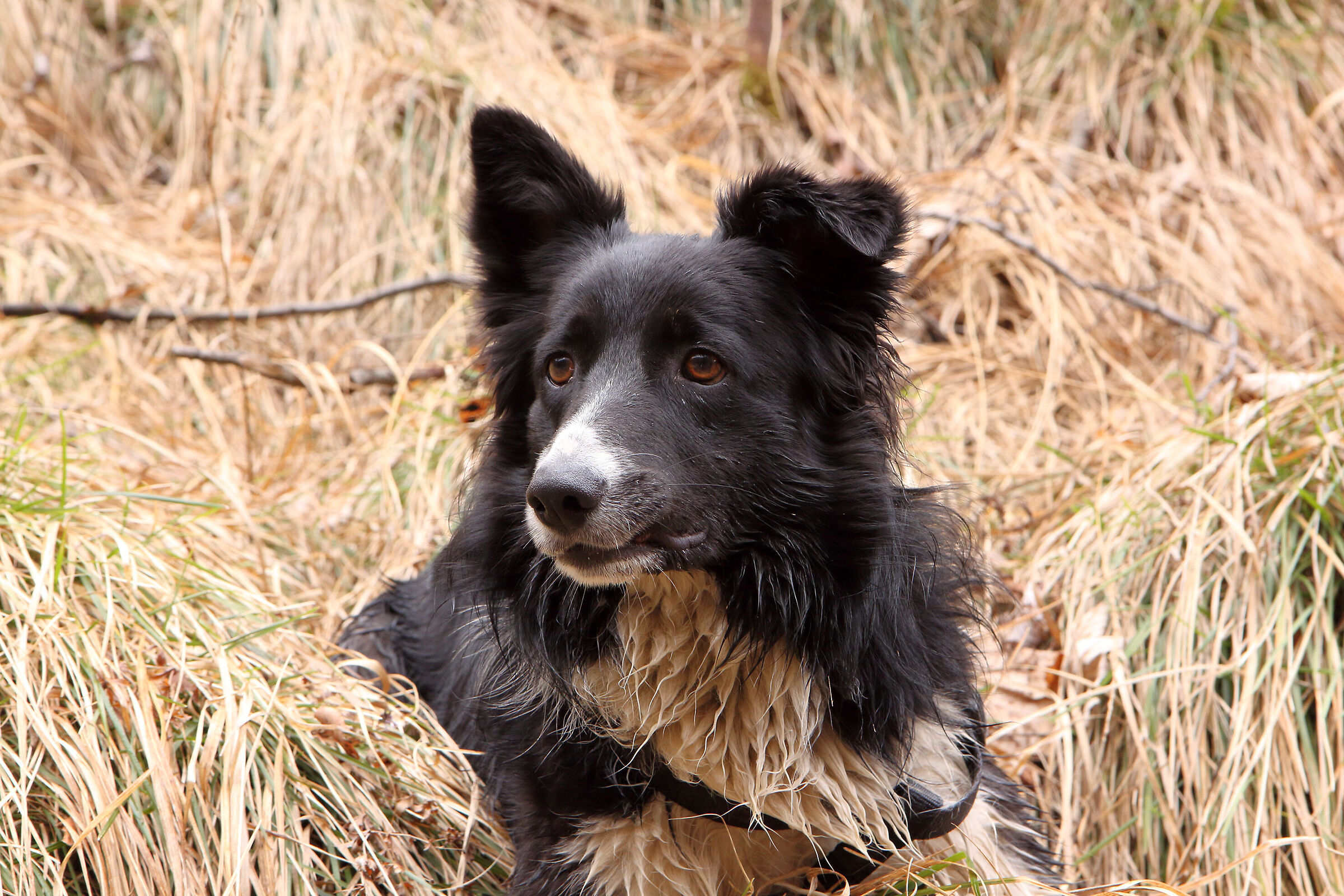 un ricordo della "star"