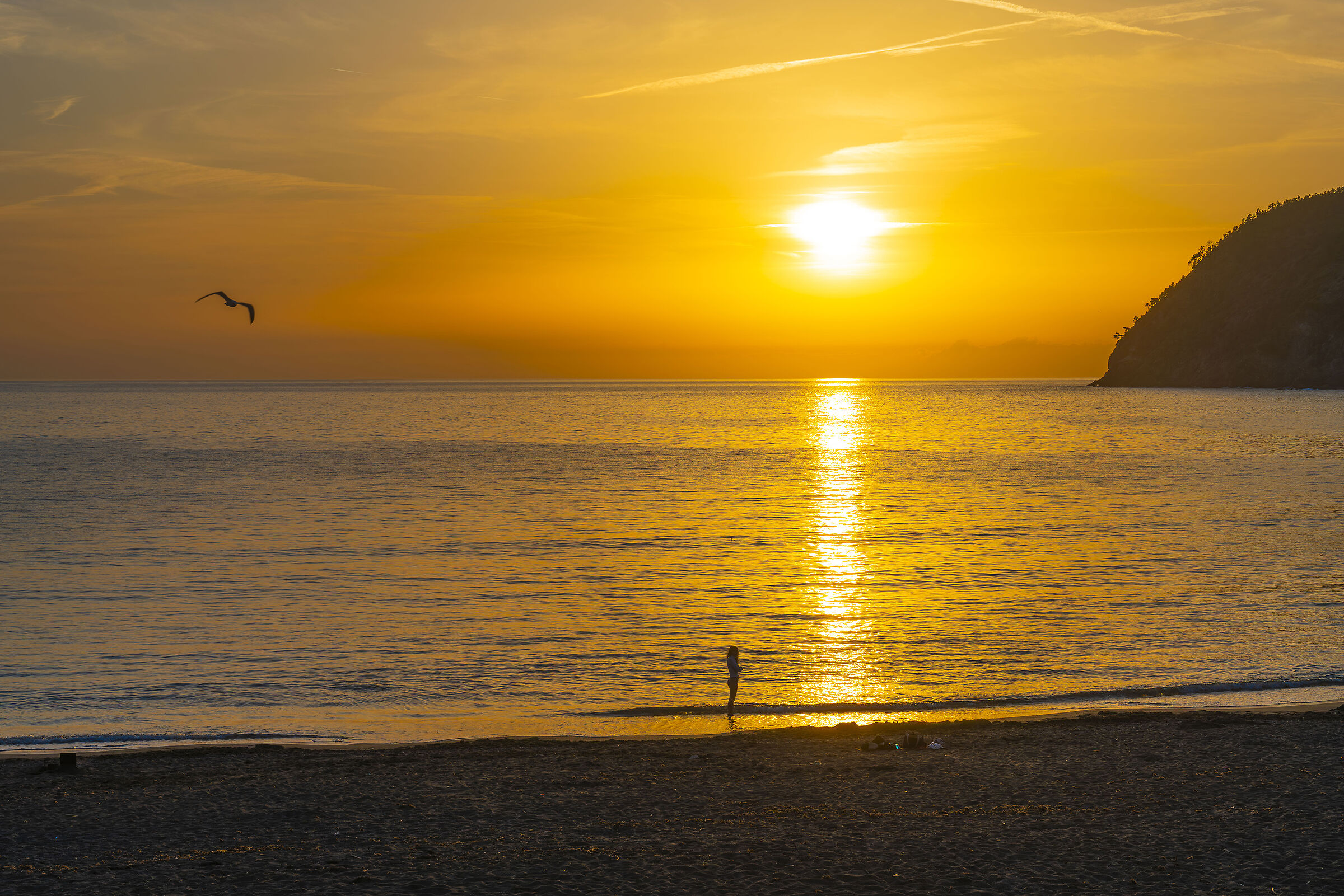 Sull'isola che non c'è