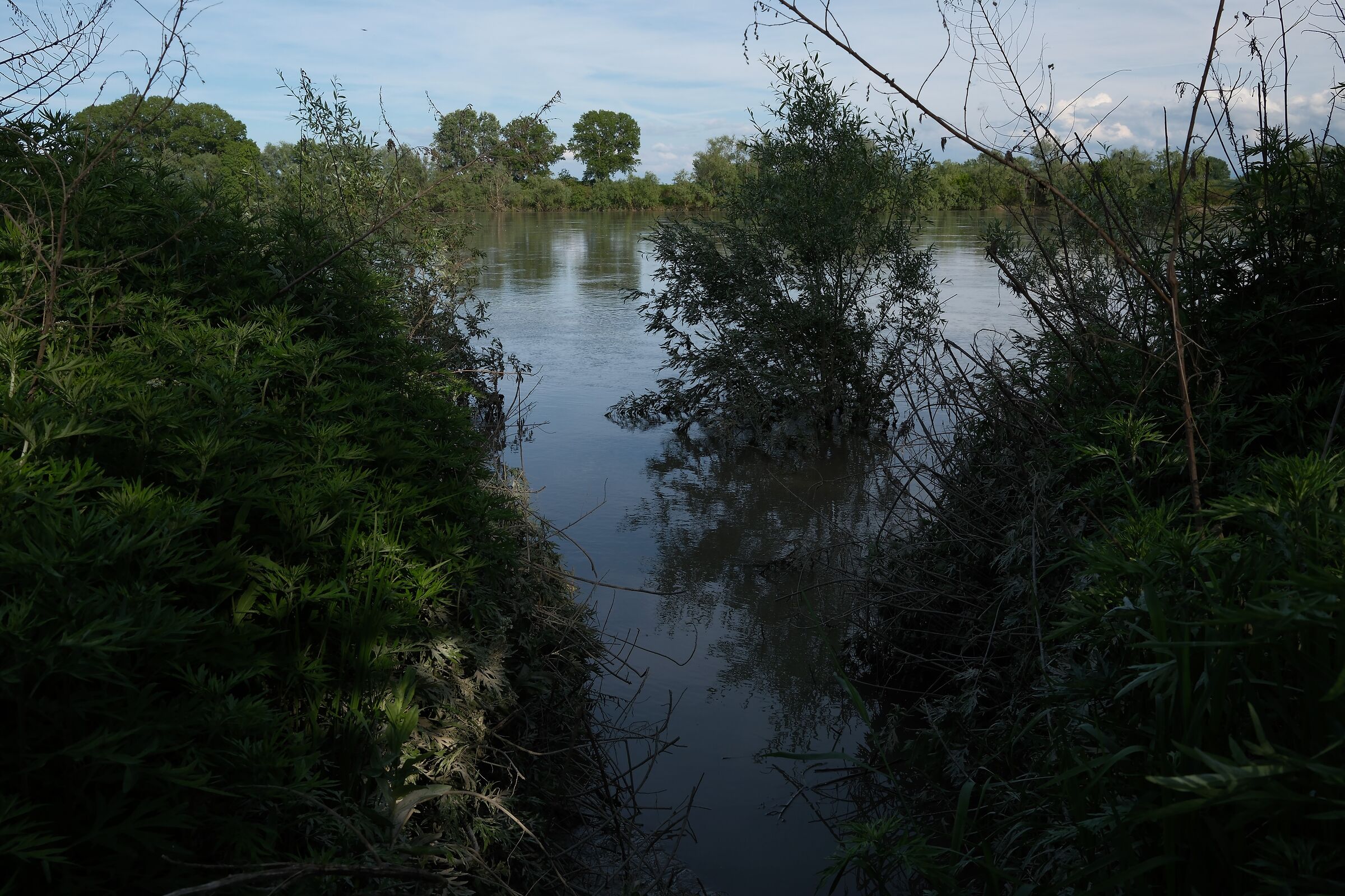 con i piedi nell'acqua