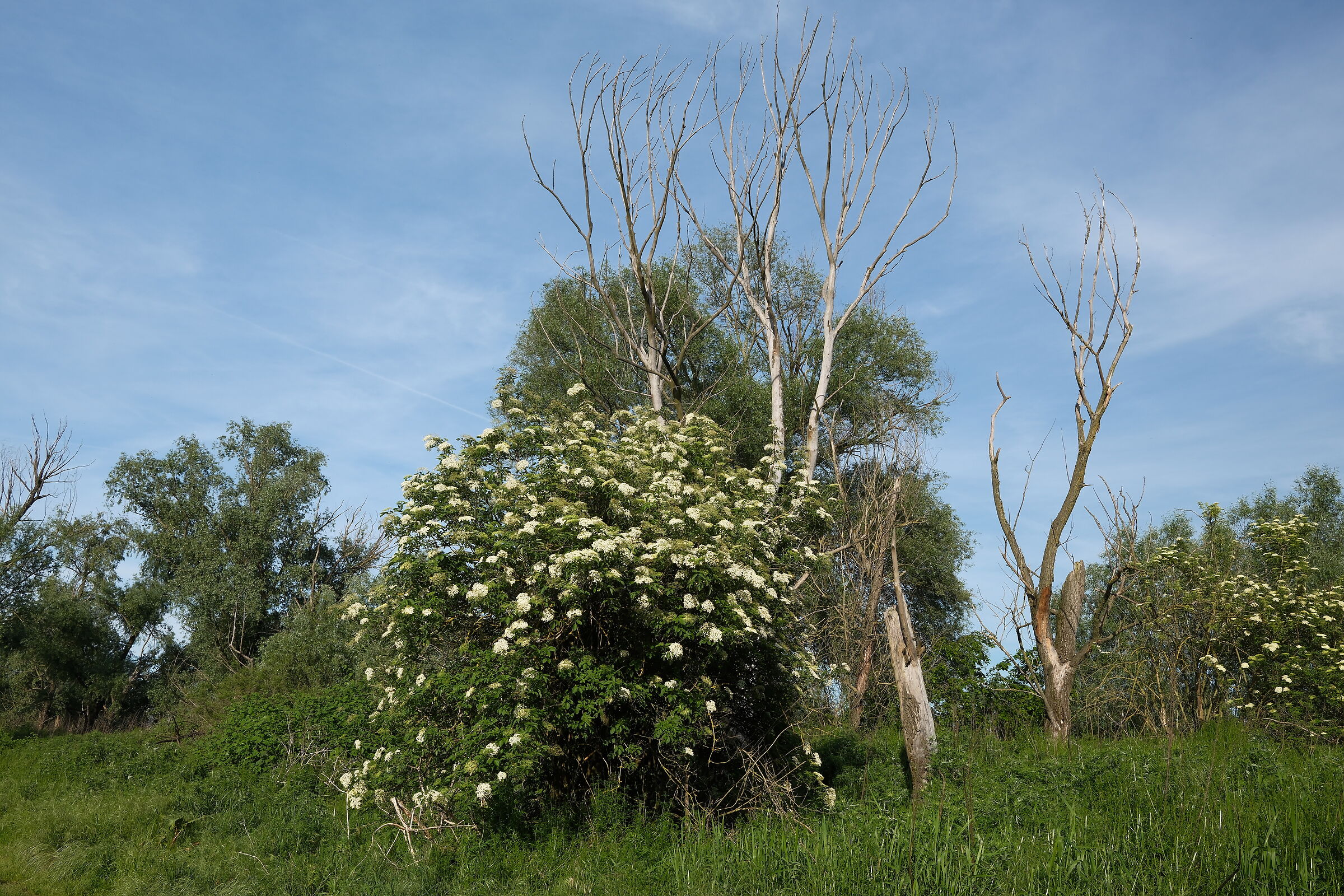 Someone didn't make it