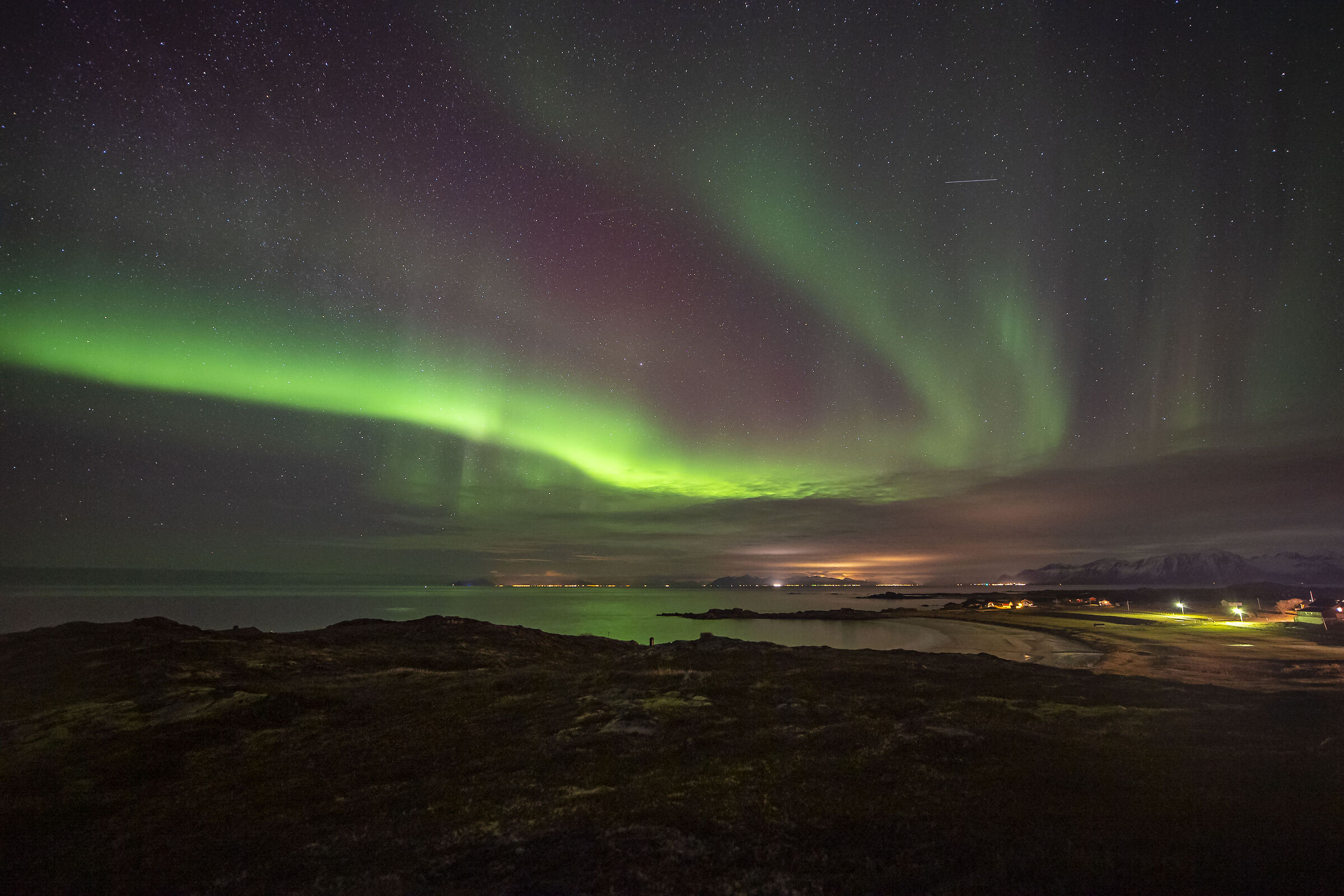 aurora gimsoy lofoten