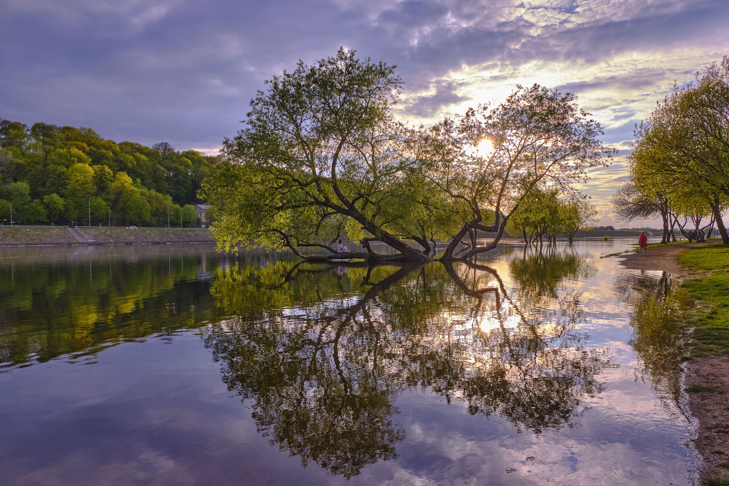Reflections at sunset
