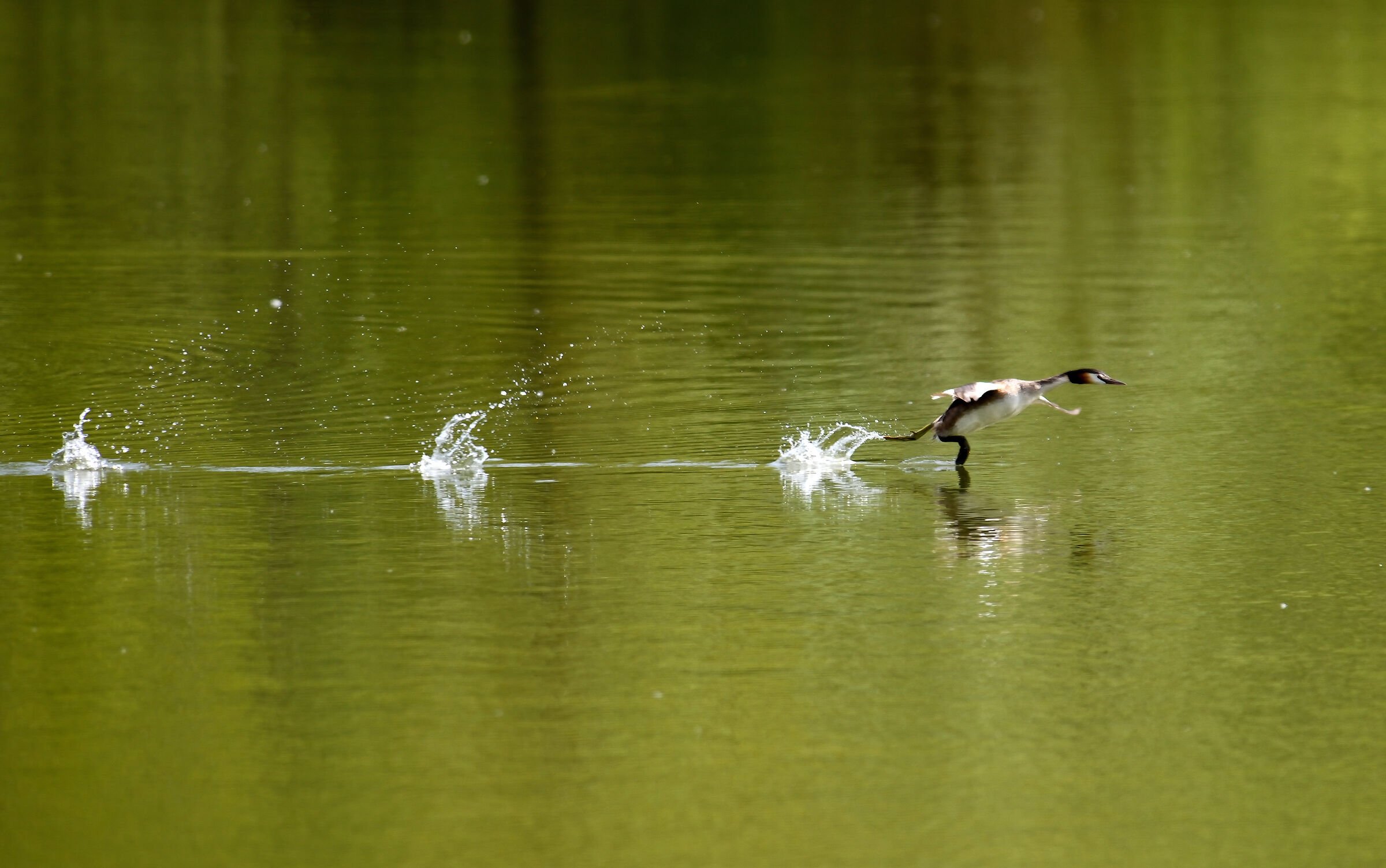 Scusate ma sono di corsa...