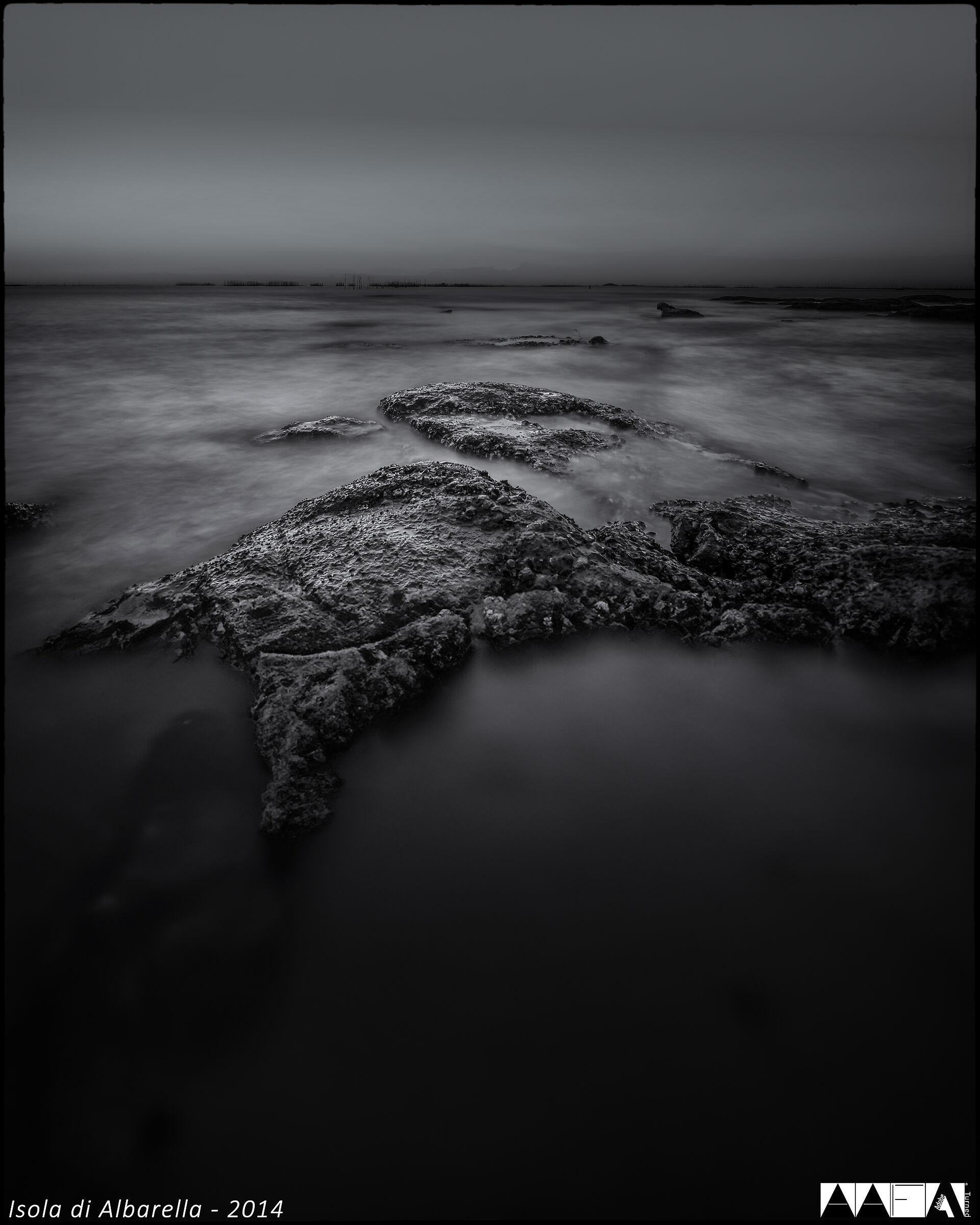 Isola di Albarella-2014