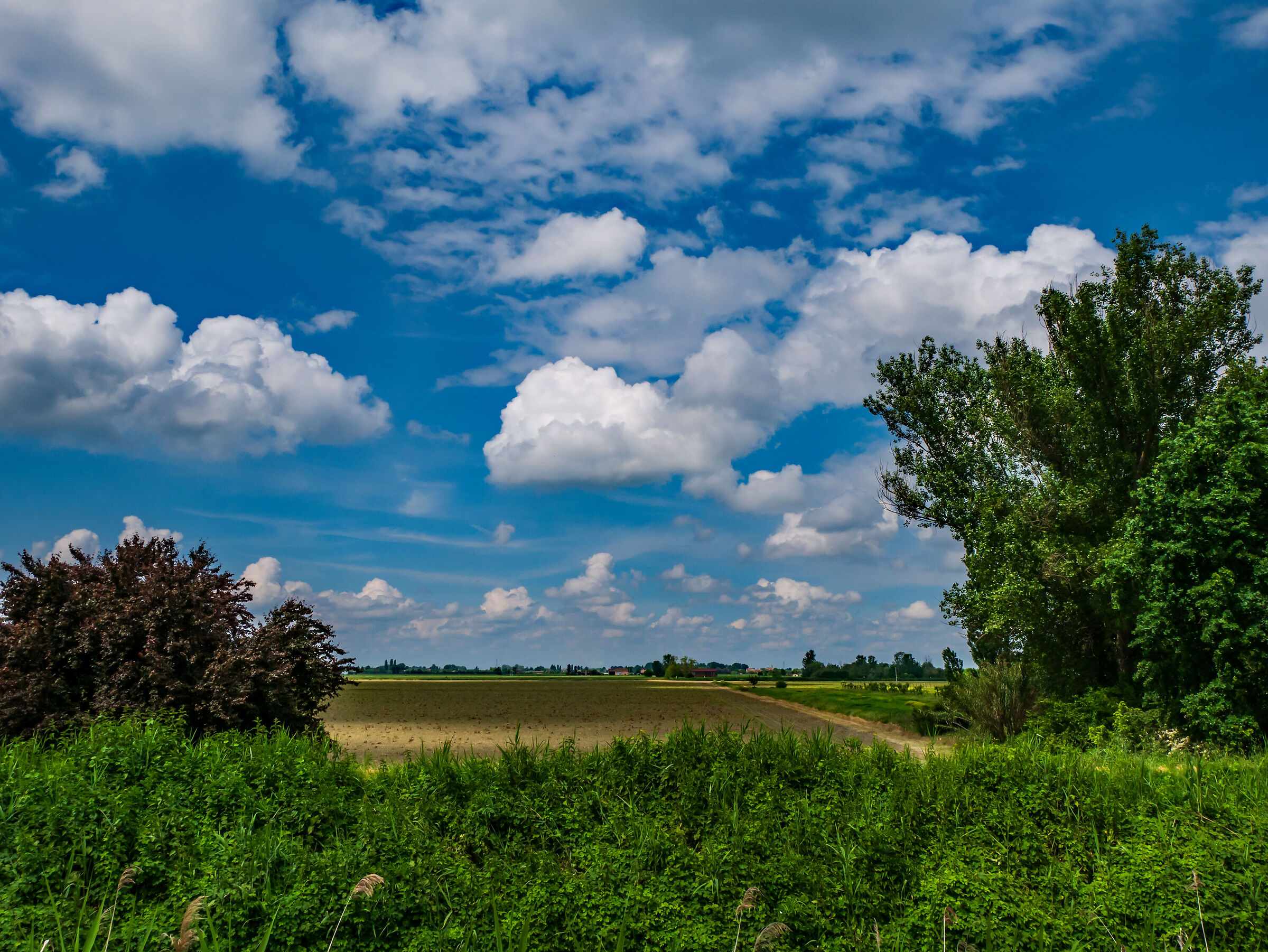 cieli di primavera prova