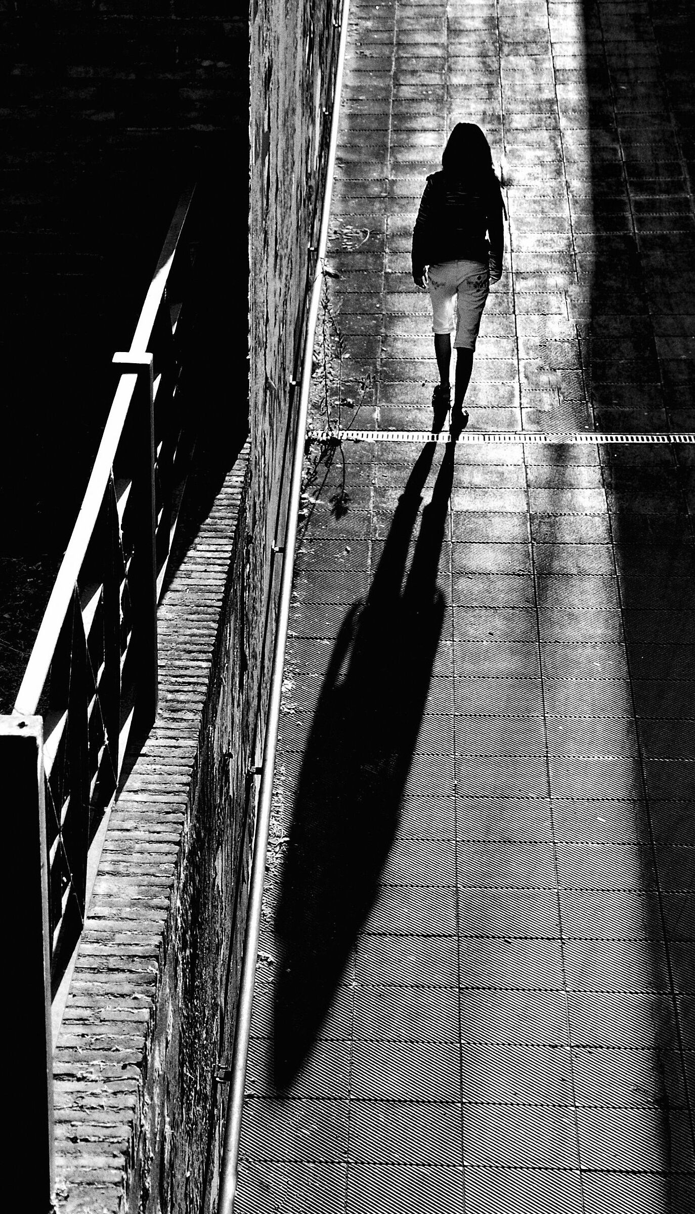 The Shadow of the Evening