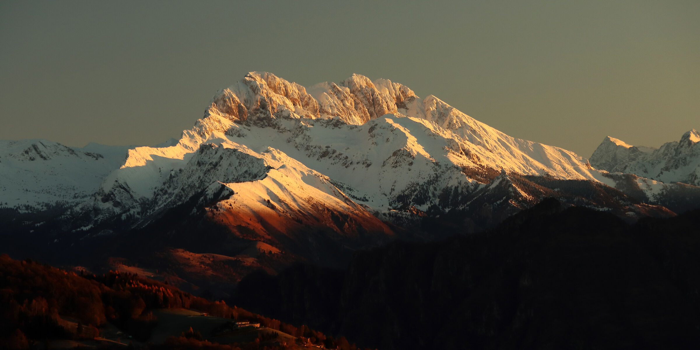 The "queen" of winter