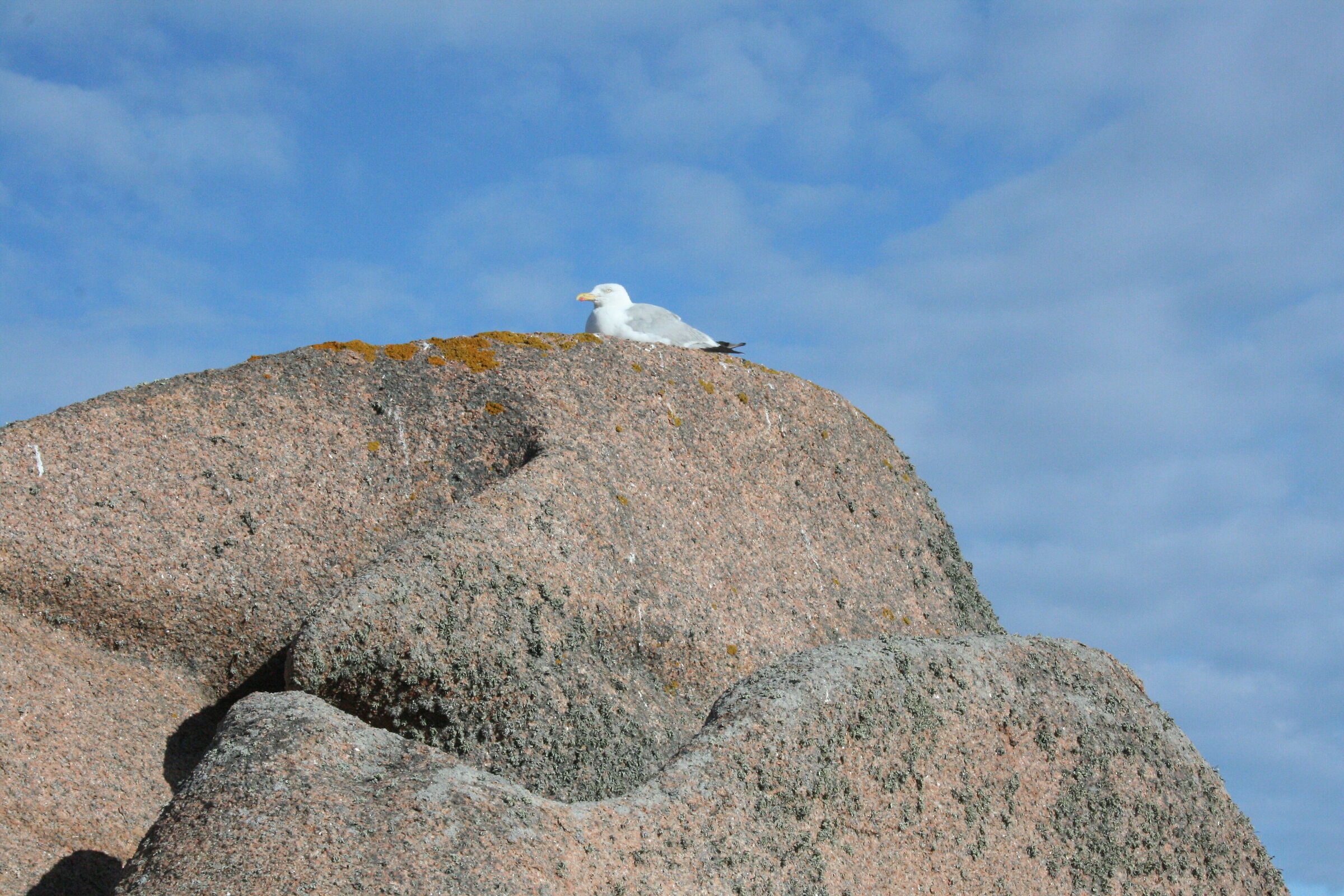 Pink Granite Coast, rest