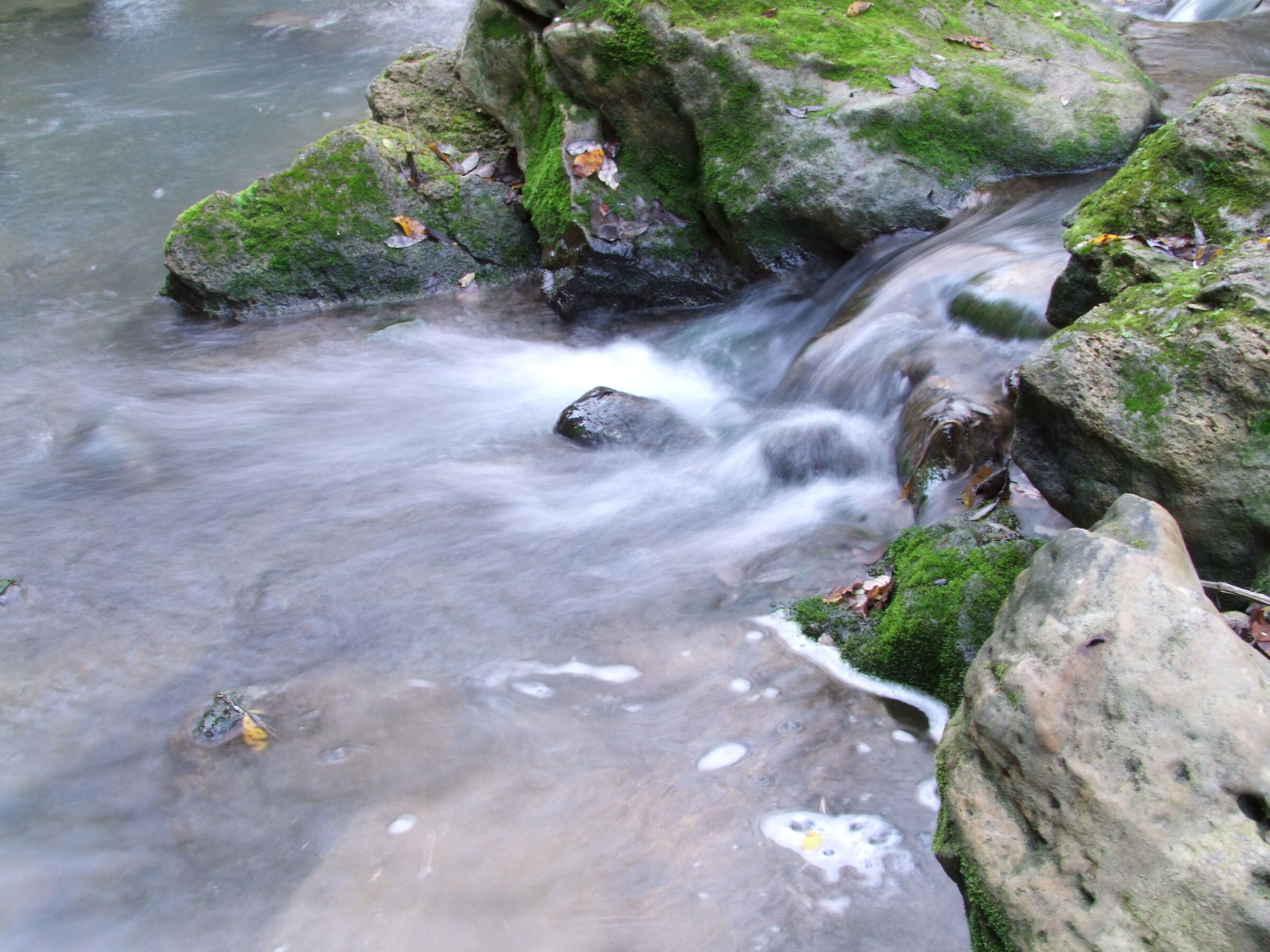 Hypnotized by the flow of water