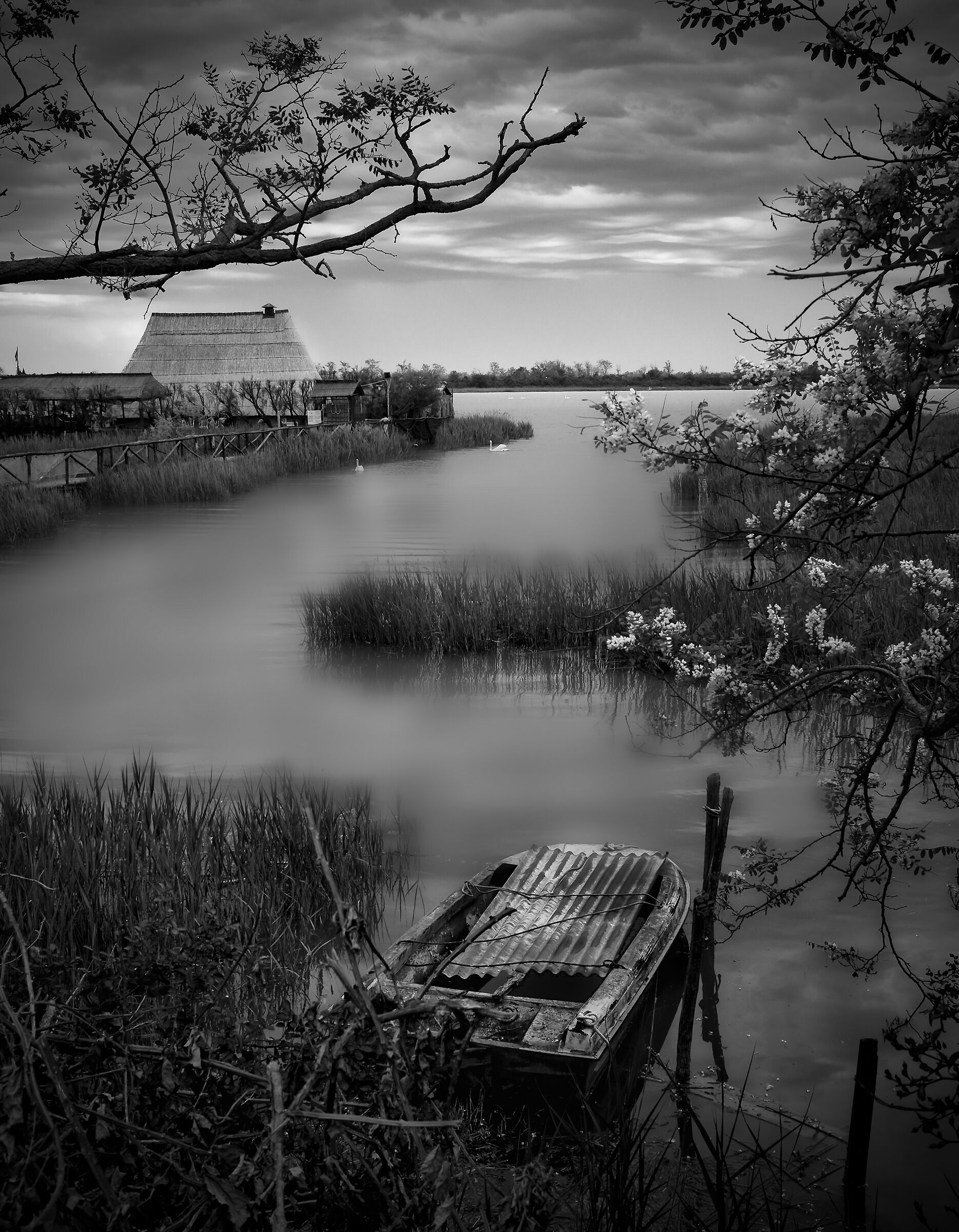 Caorle