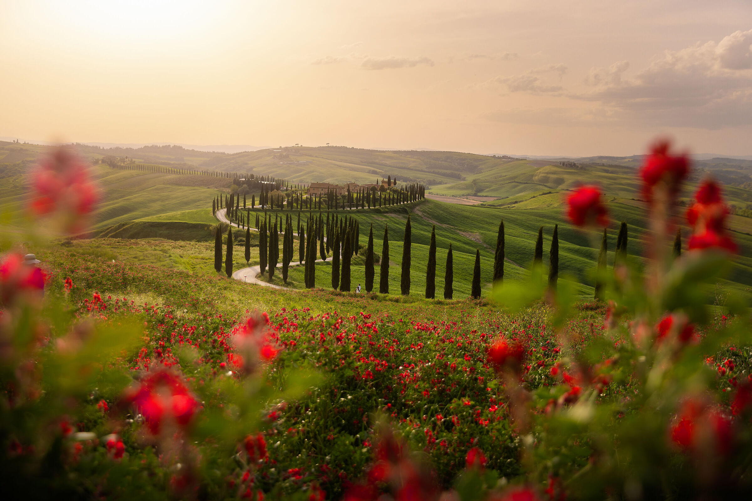 The most beautiful view of Tuscany