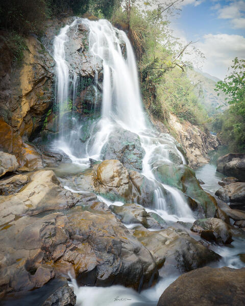 Foto