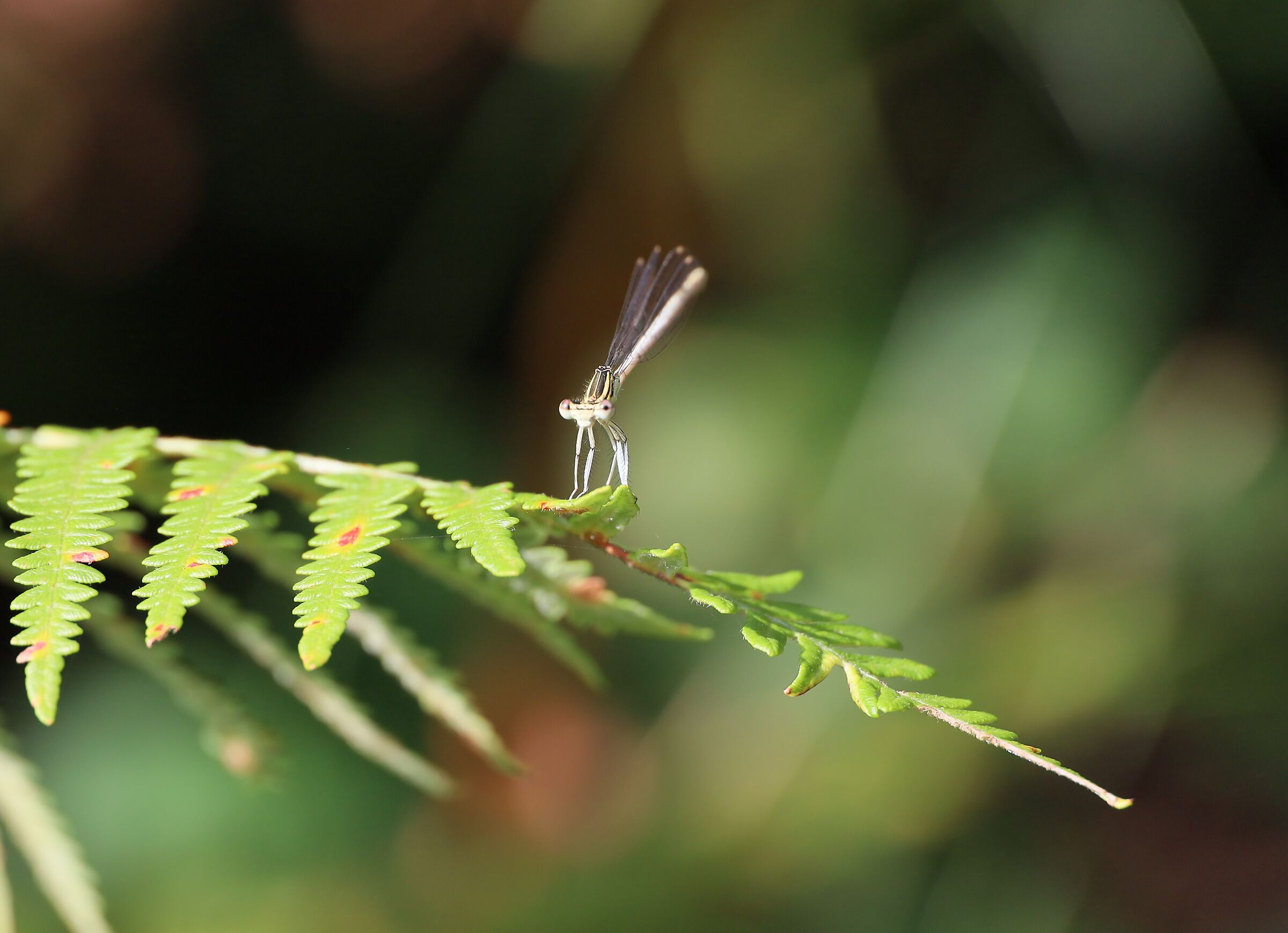 He was looking at me...