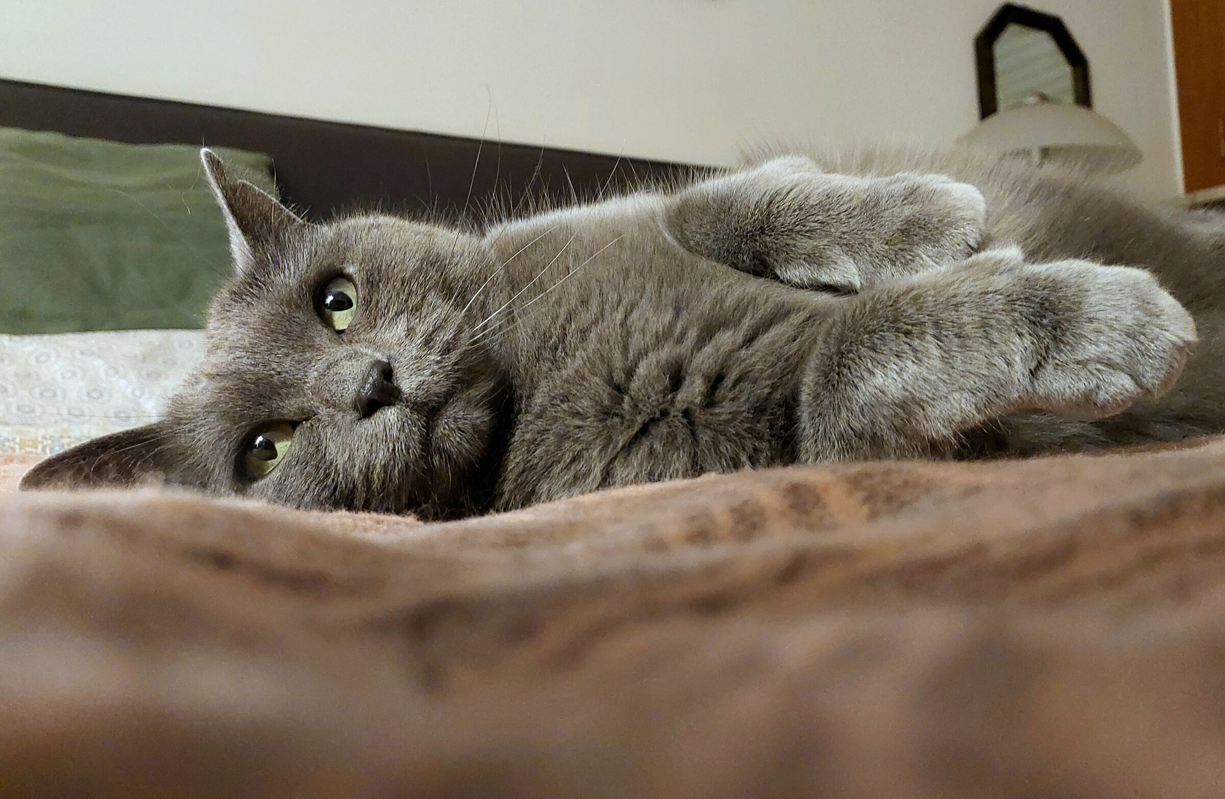 Arthur