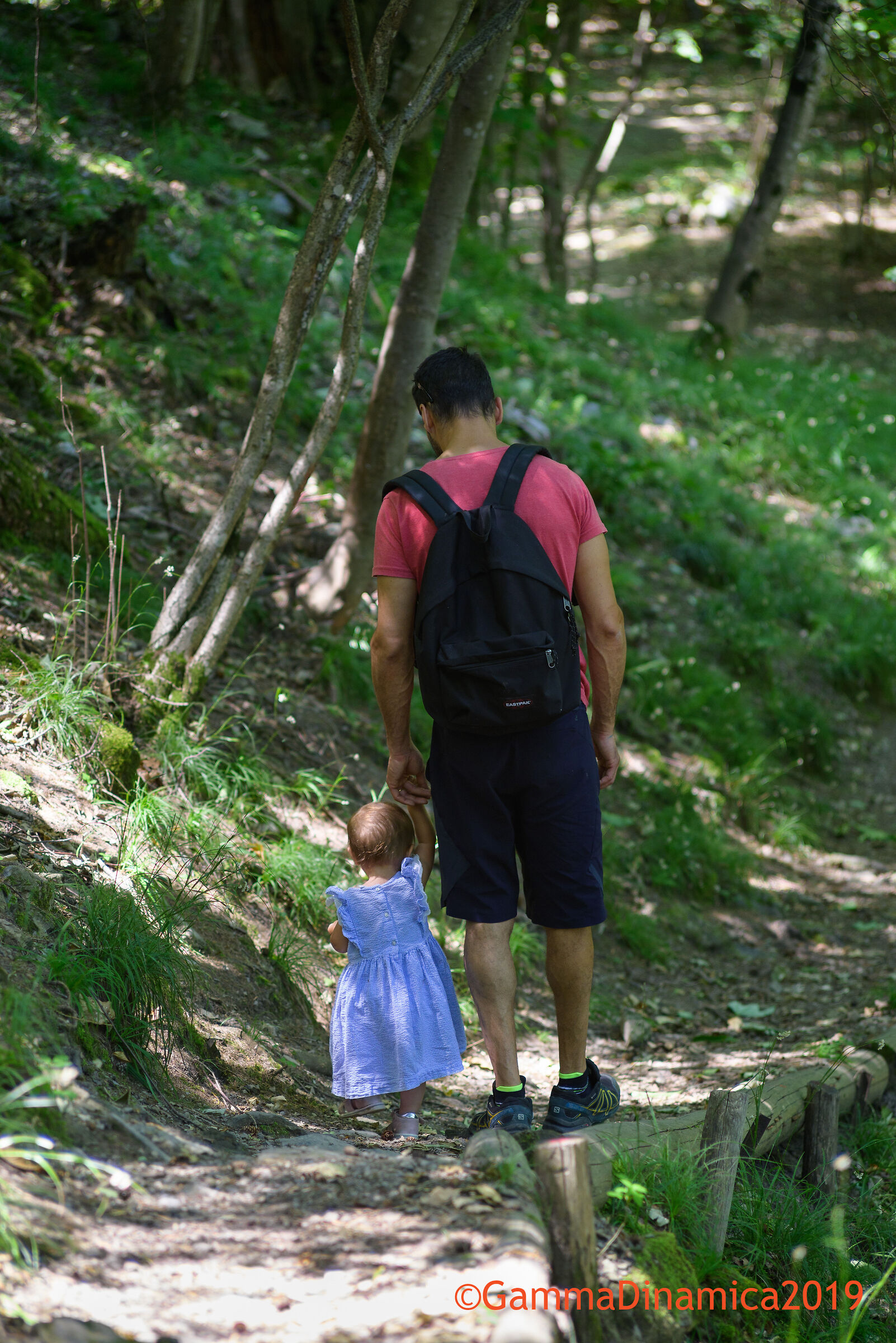 Walking in the woods