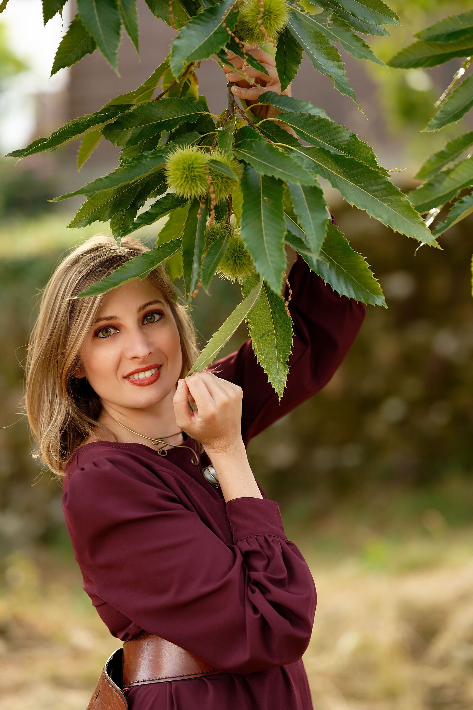 Castanea Sativa