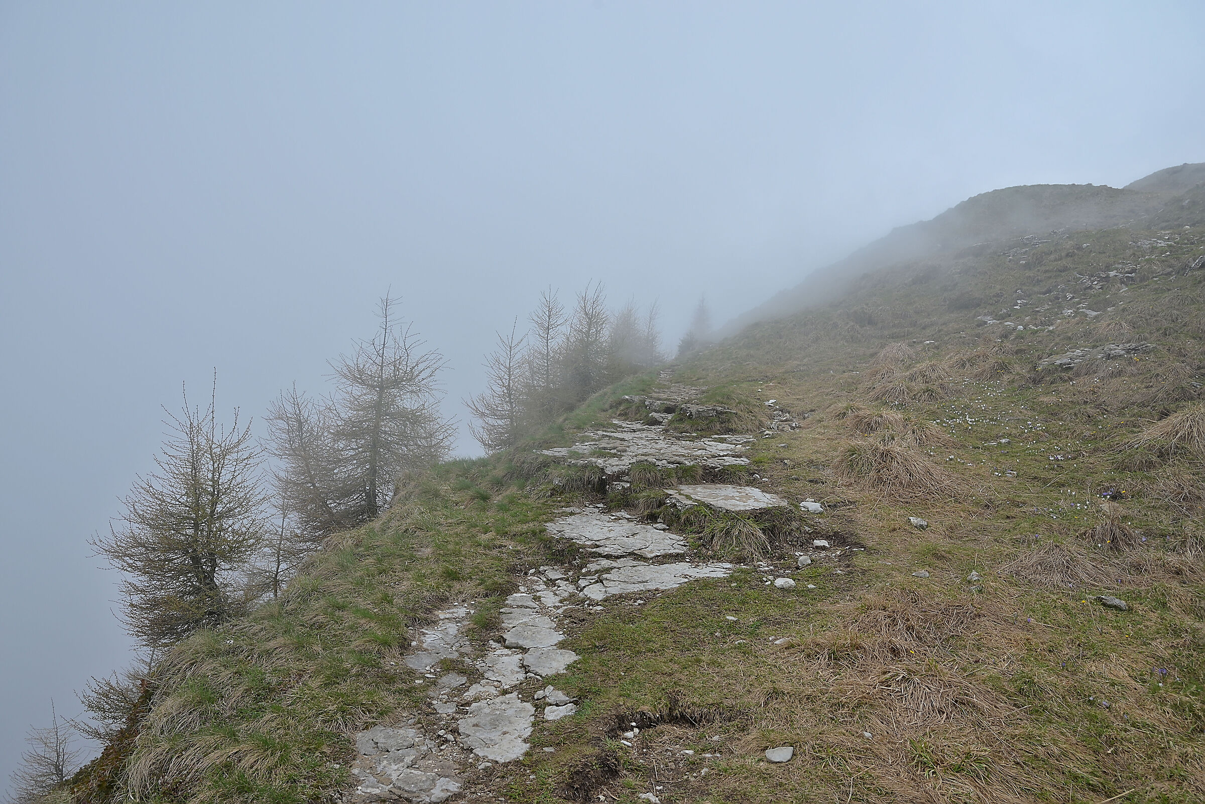 Col Visentin Ridge Route