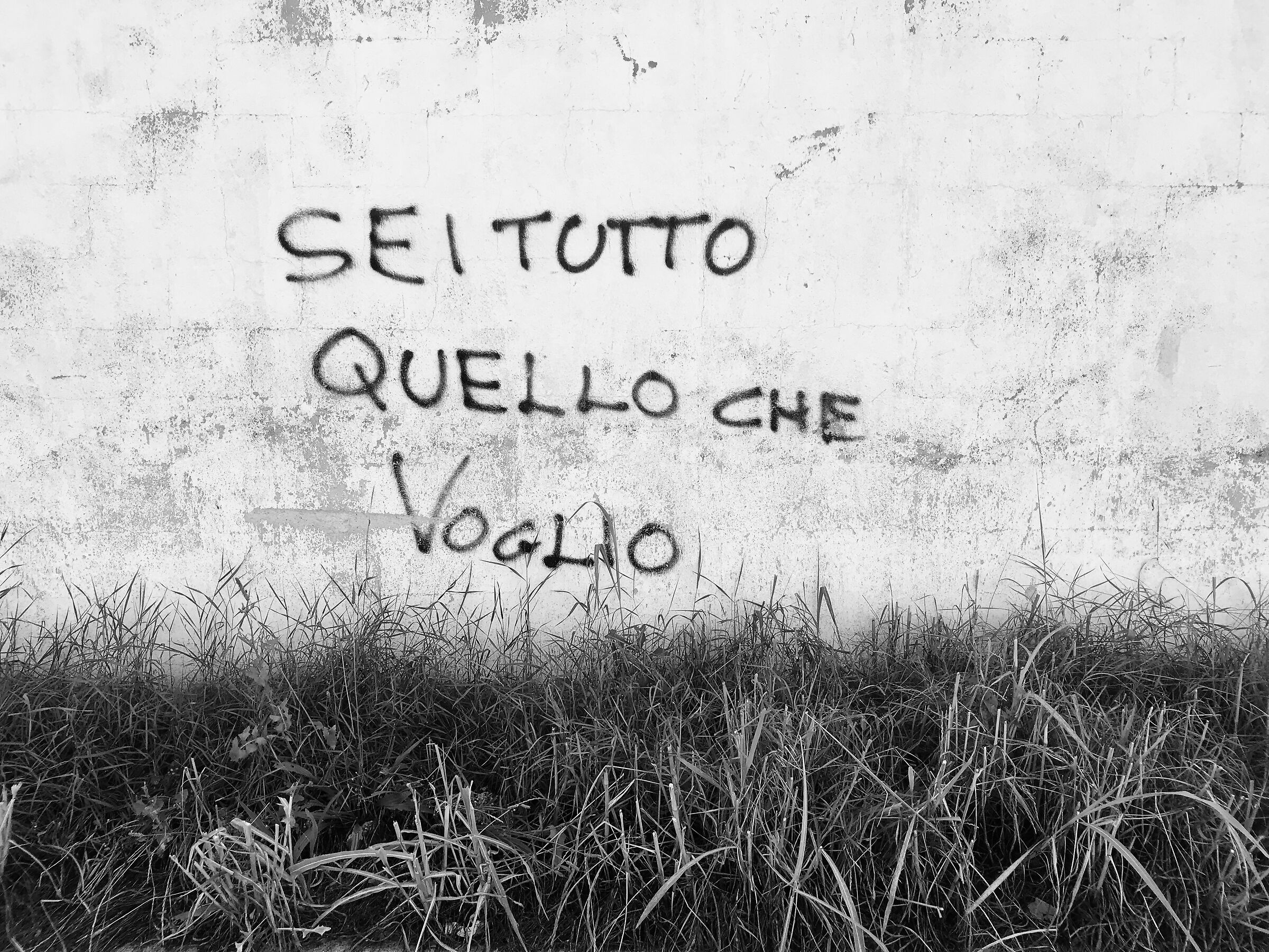 Senza Titolo