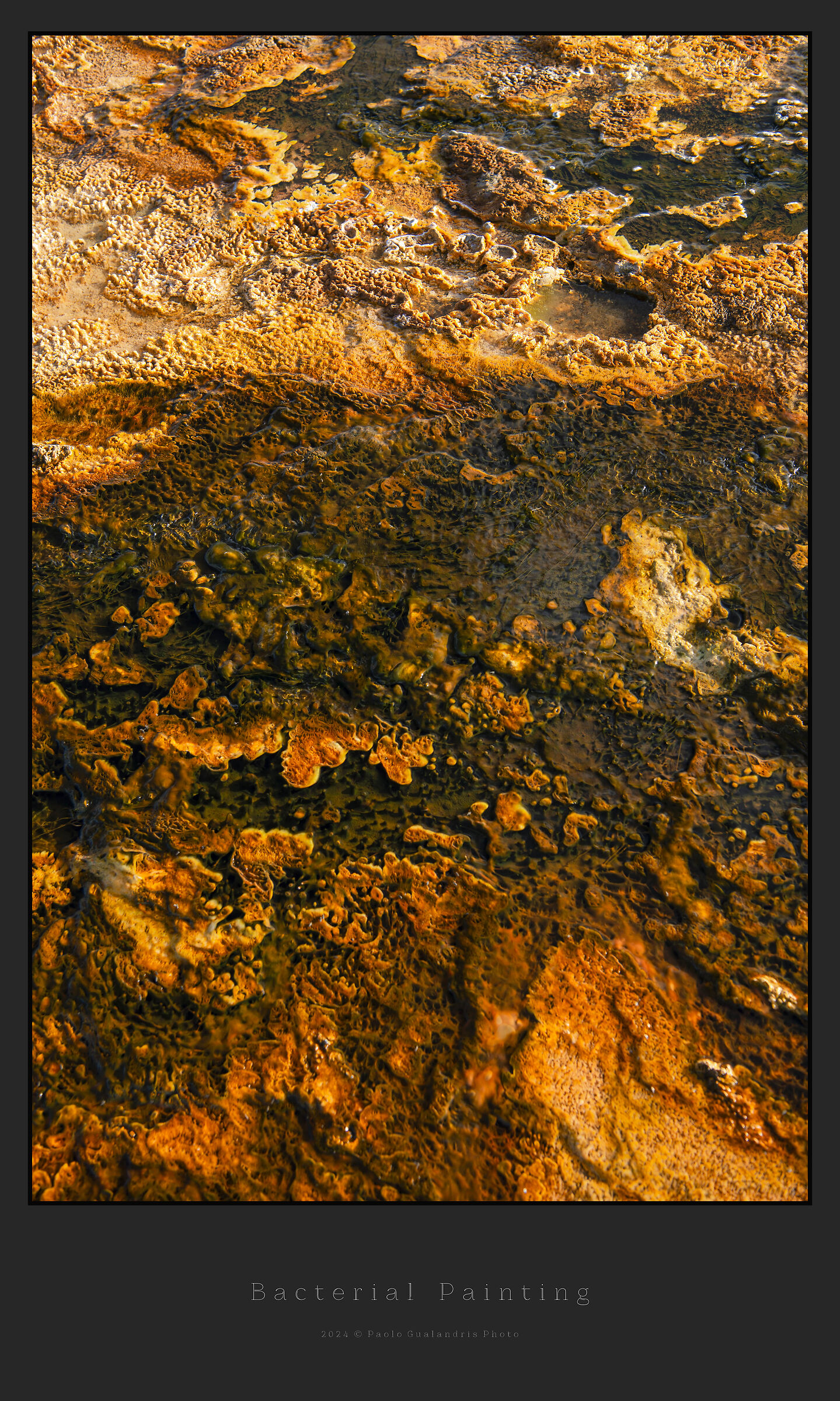 Bacteric Painting
