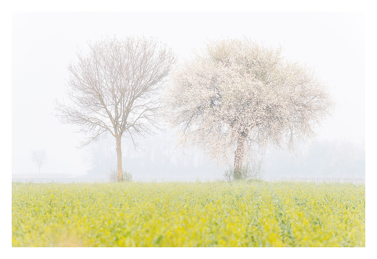 Estratti di primavera