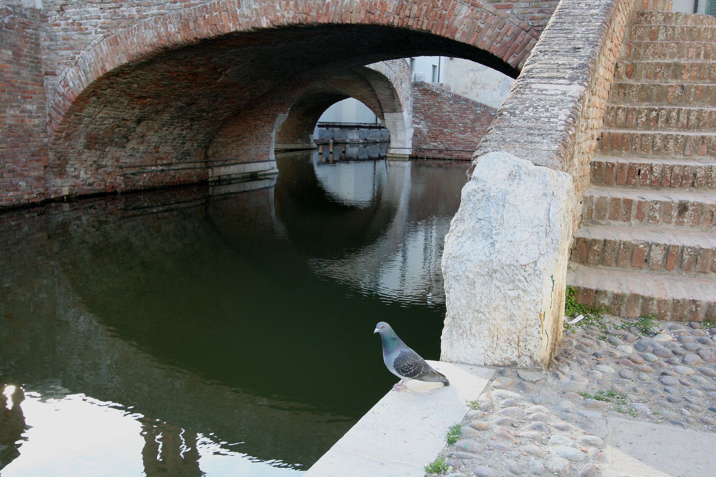 i ponti a Comacchio