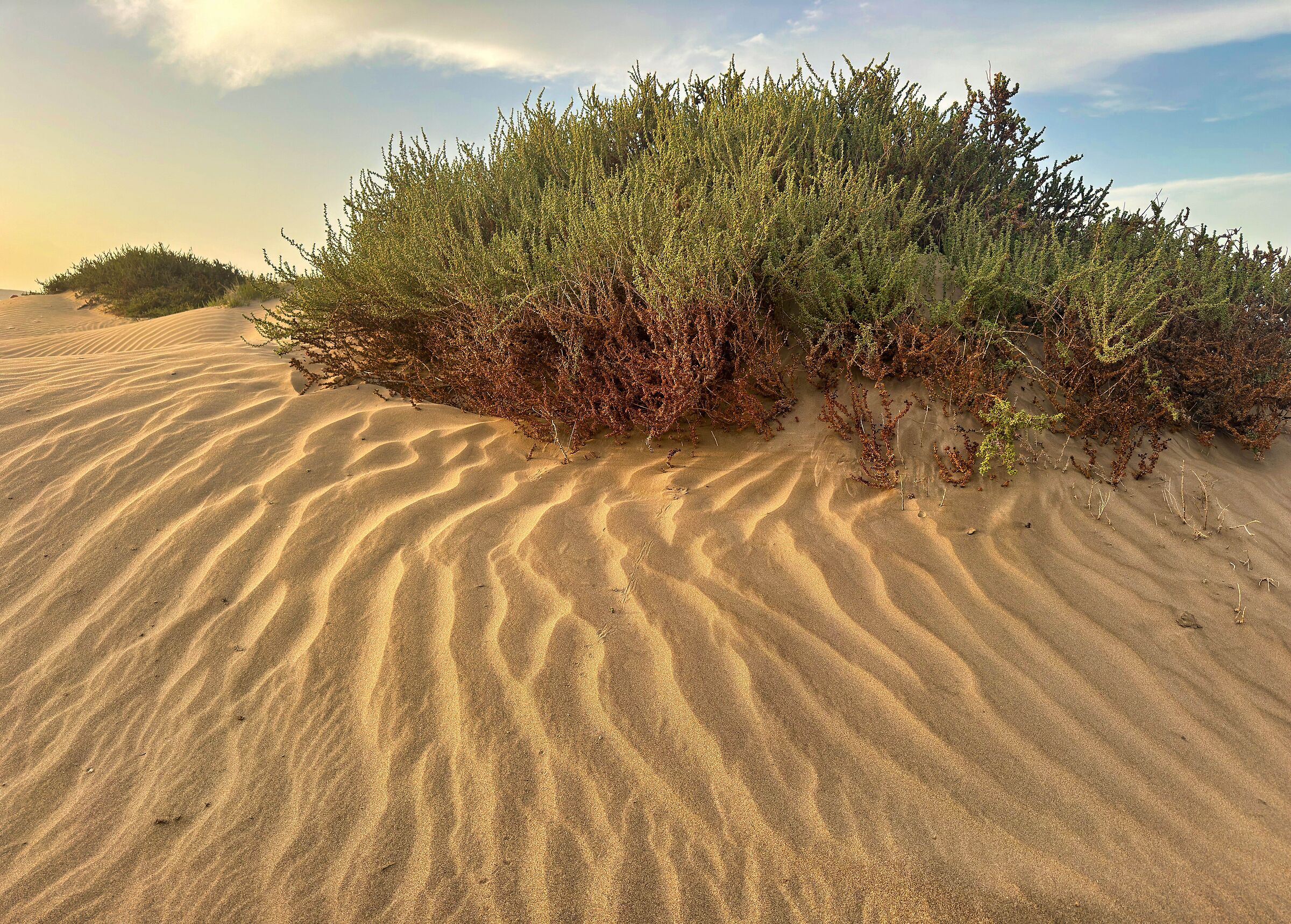 Dunes