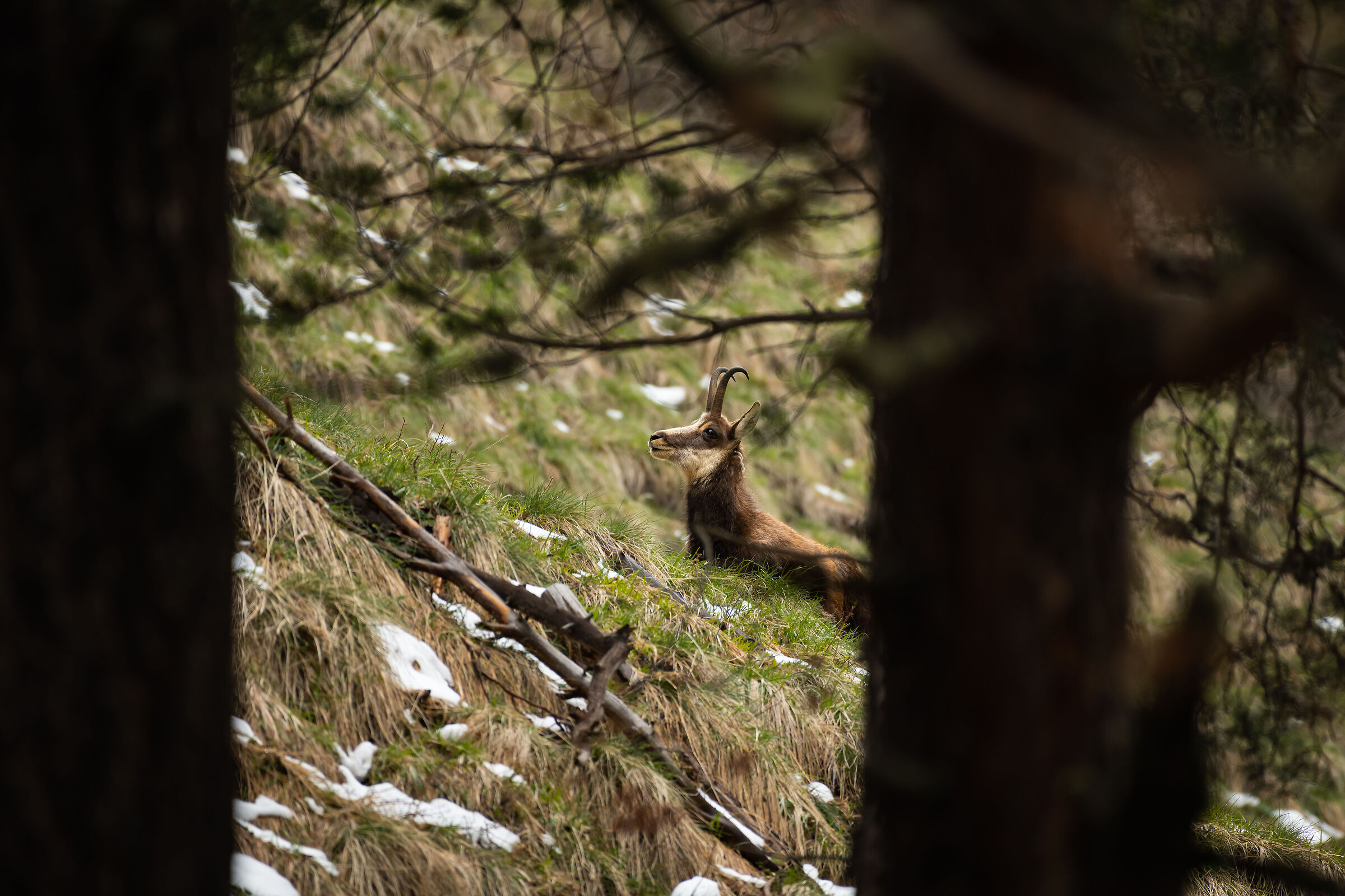 I whistle and pretend nothing has happened