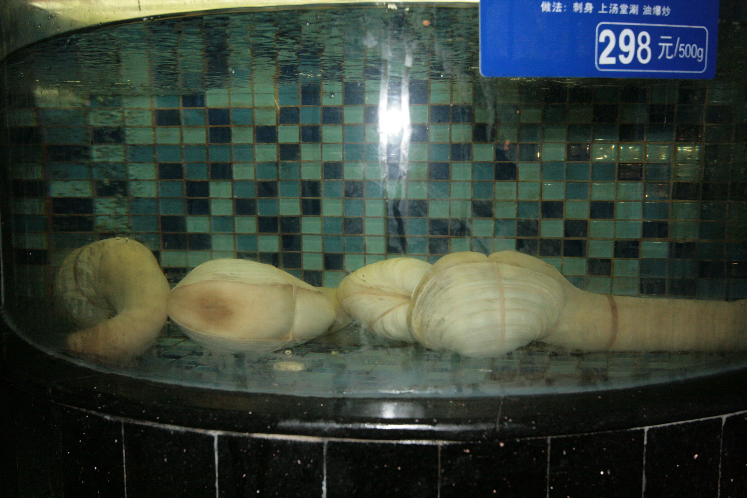 al ristorante, il banco del pesce 1