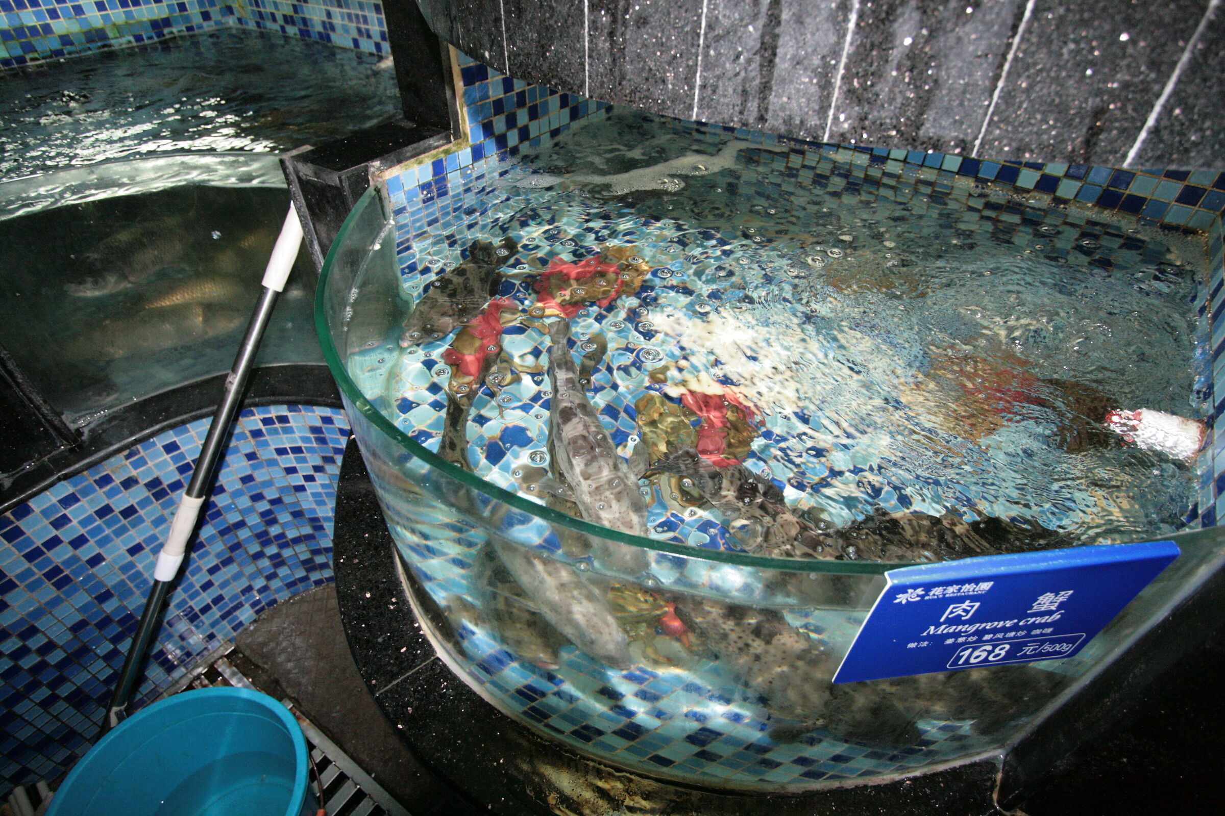 al ristorante, il banco del pesce 2