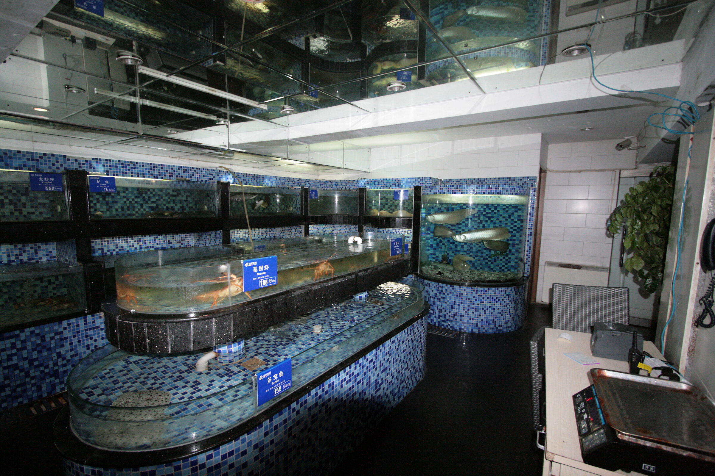 al ristorante, il banco del pesce 3