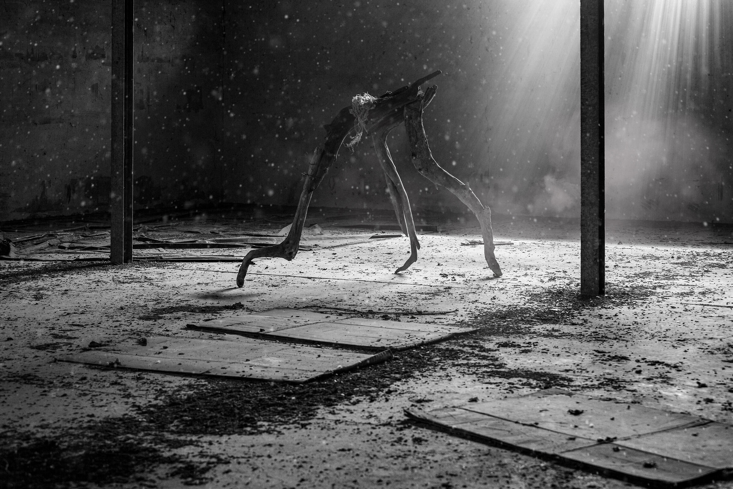 Alien, ex officina di essiccazione tabacco